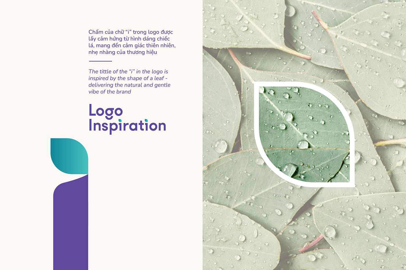 brand identity environmental design laundry natural Nature packaging design pakaging Photography 