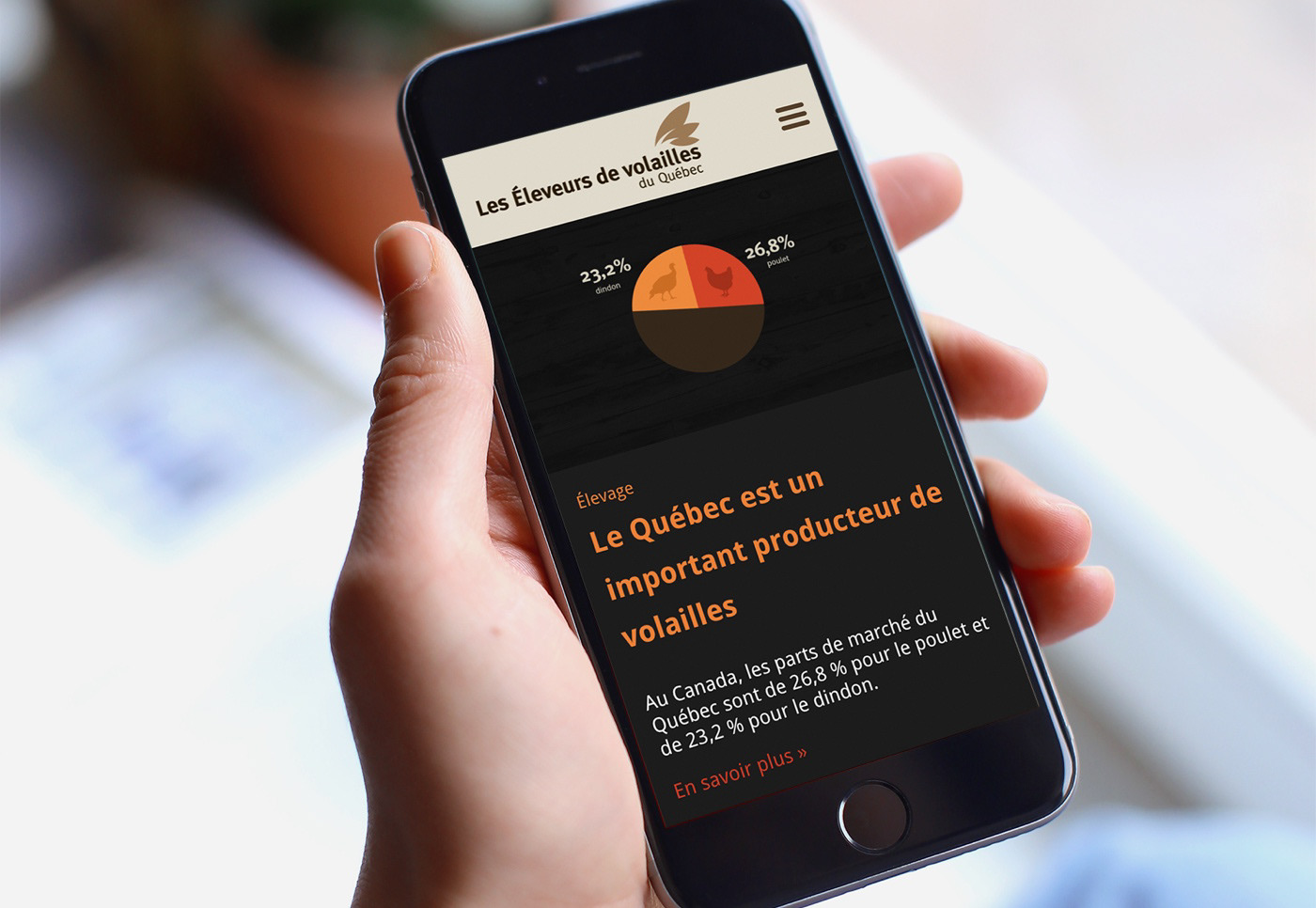 poultry union ux UI Webdesign Responsive informative corporate
