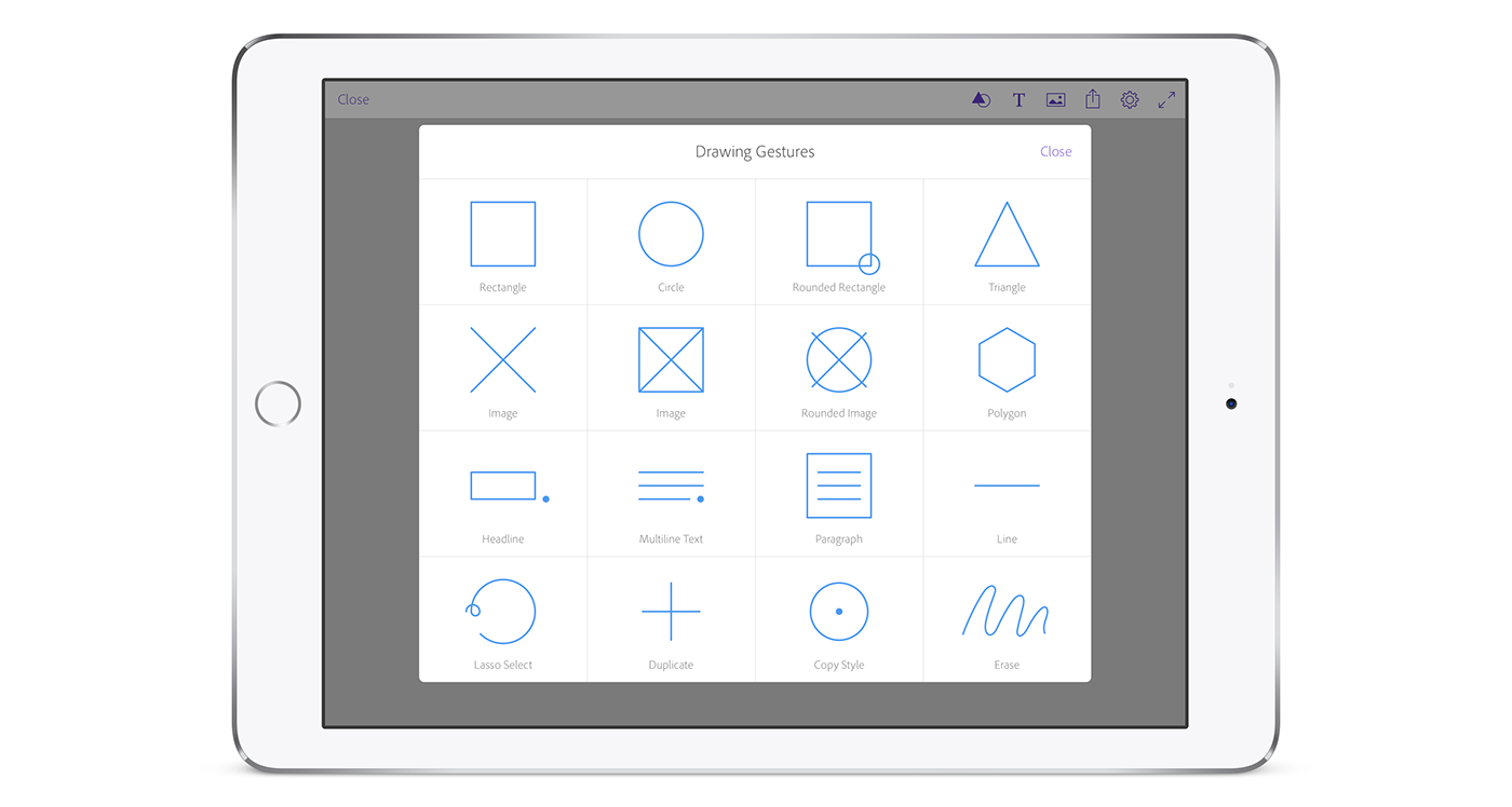 Adobe Portfolio comp adobe Creative Cloud prototyope draw Layout