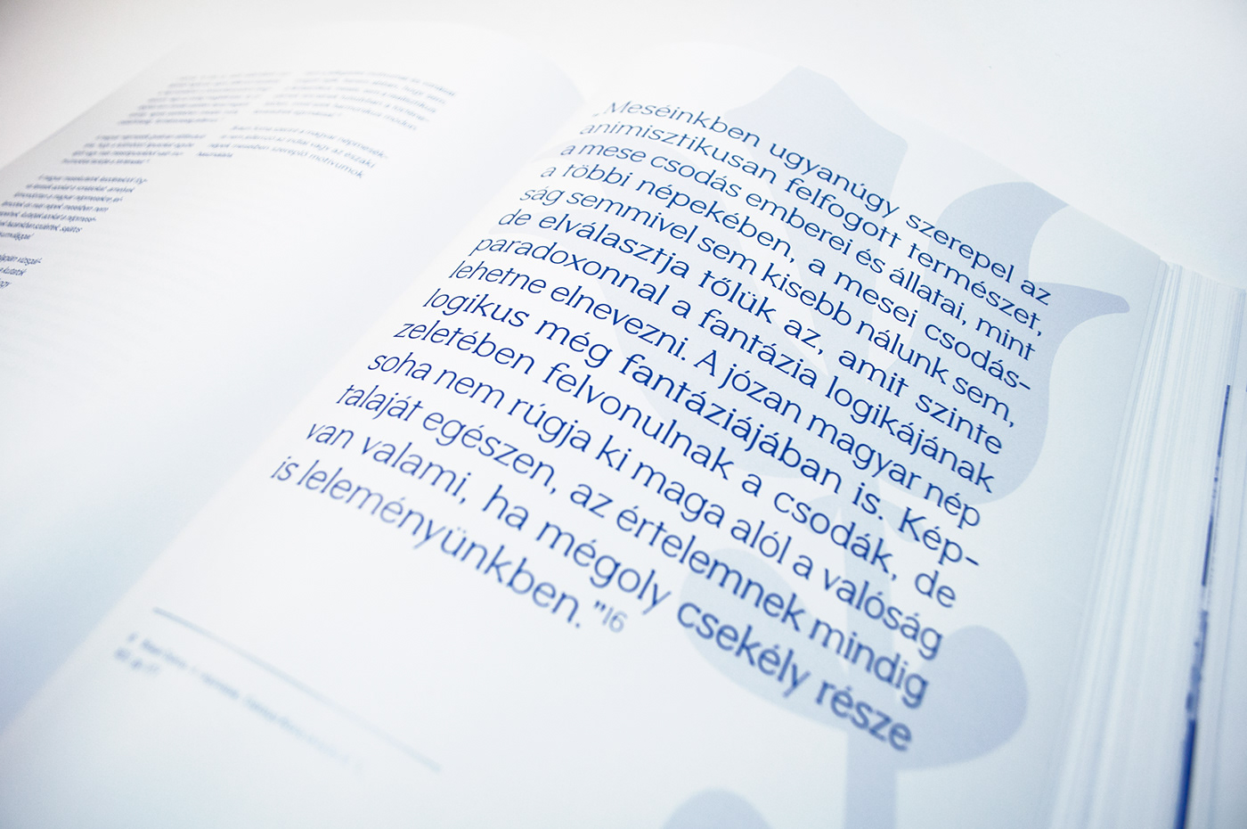 thesis degree master degree graphic design  Graphic Designer print printdesign book Layout