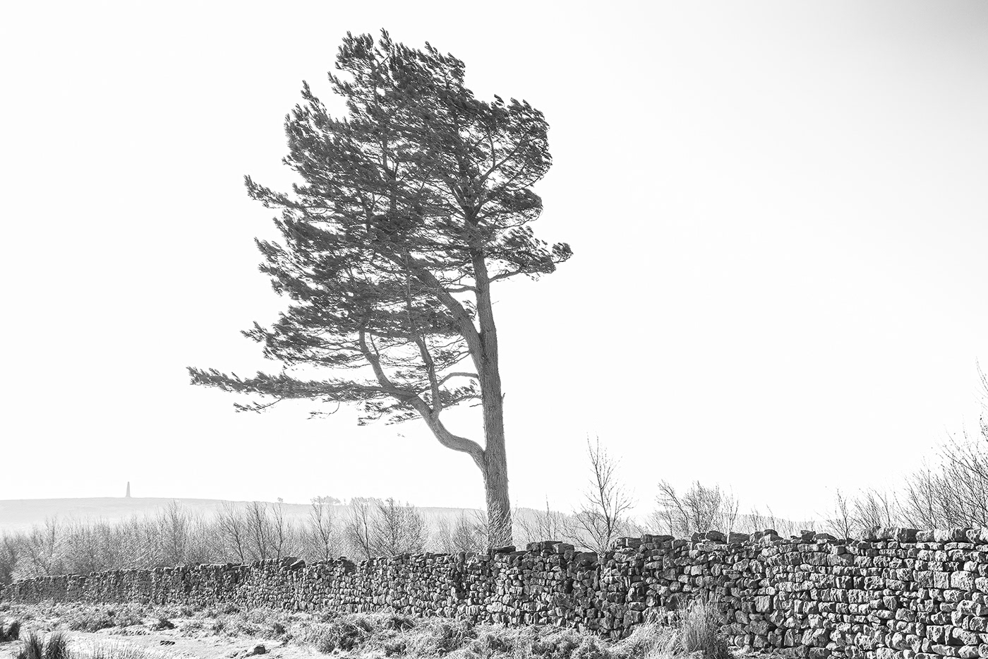 Outdoor Photography  Nature beauty Landscape yorkshire black and white monochrome views Roseberry Topping