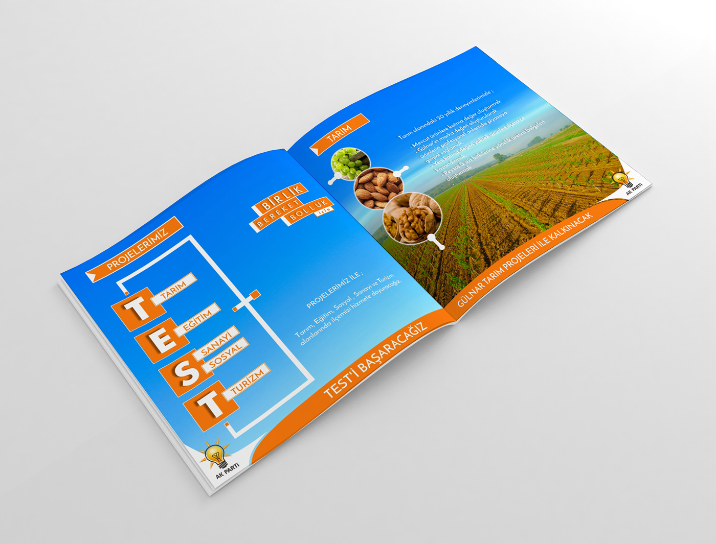 Dergi journal graphicdesign design tasarım grafiktasarım grafik sanat