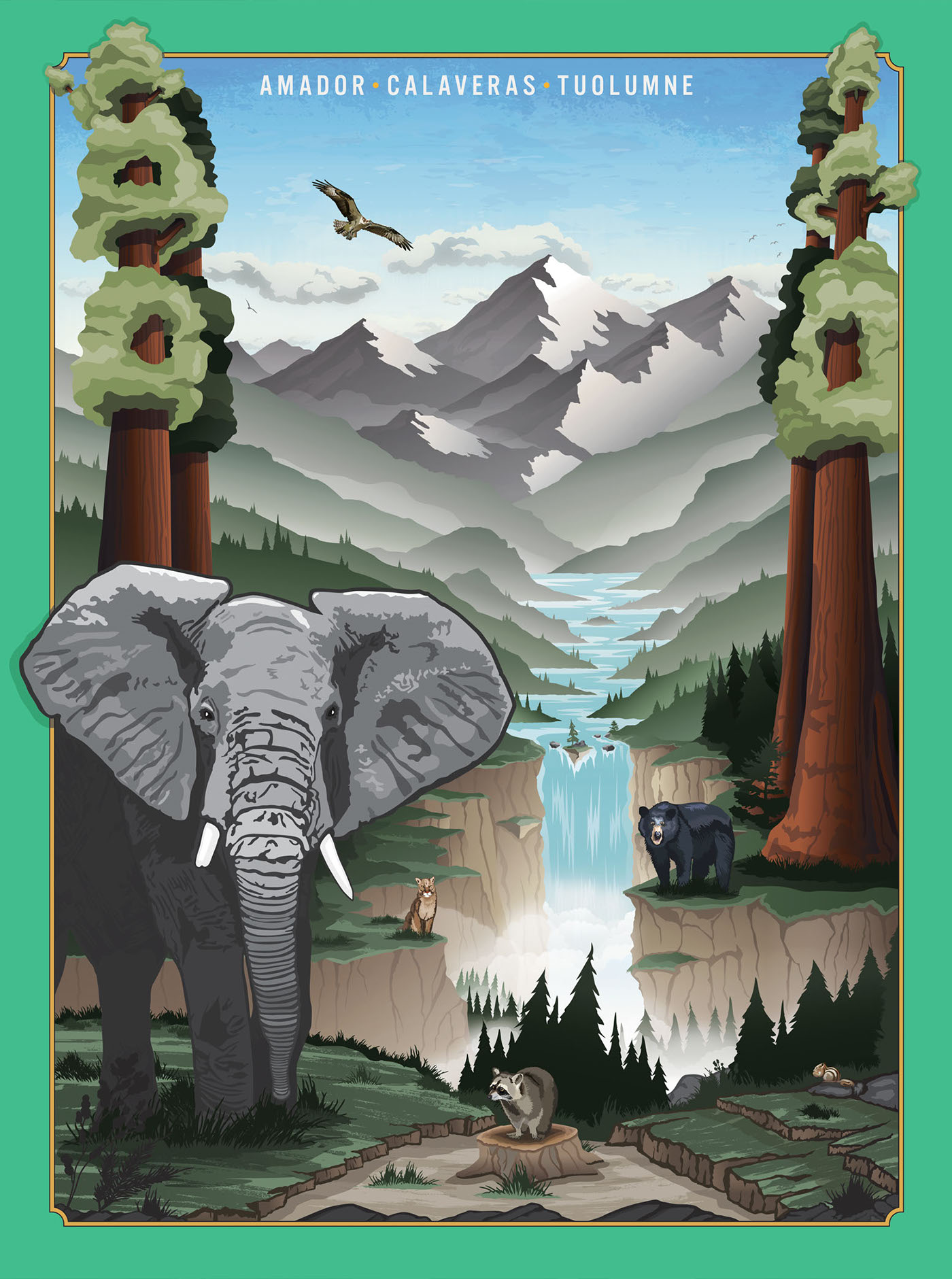AnimlaScapes landscapes wildlife elephants MountainLions bears sequoias bigtrees 