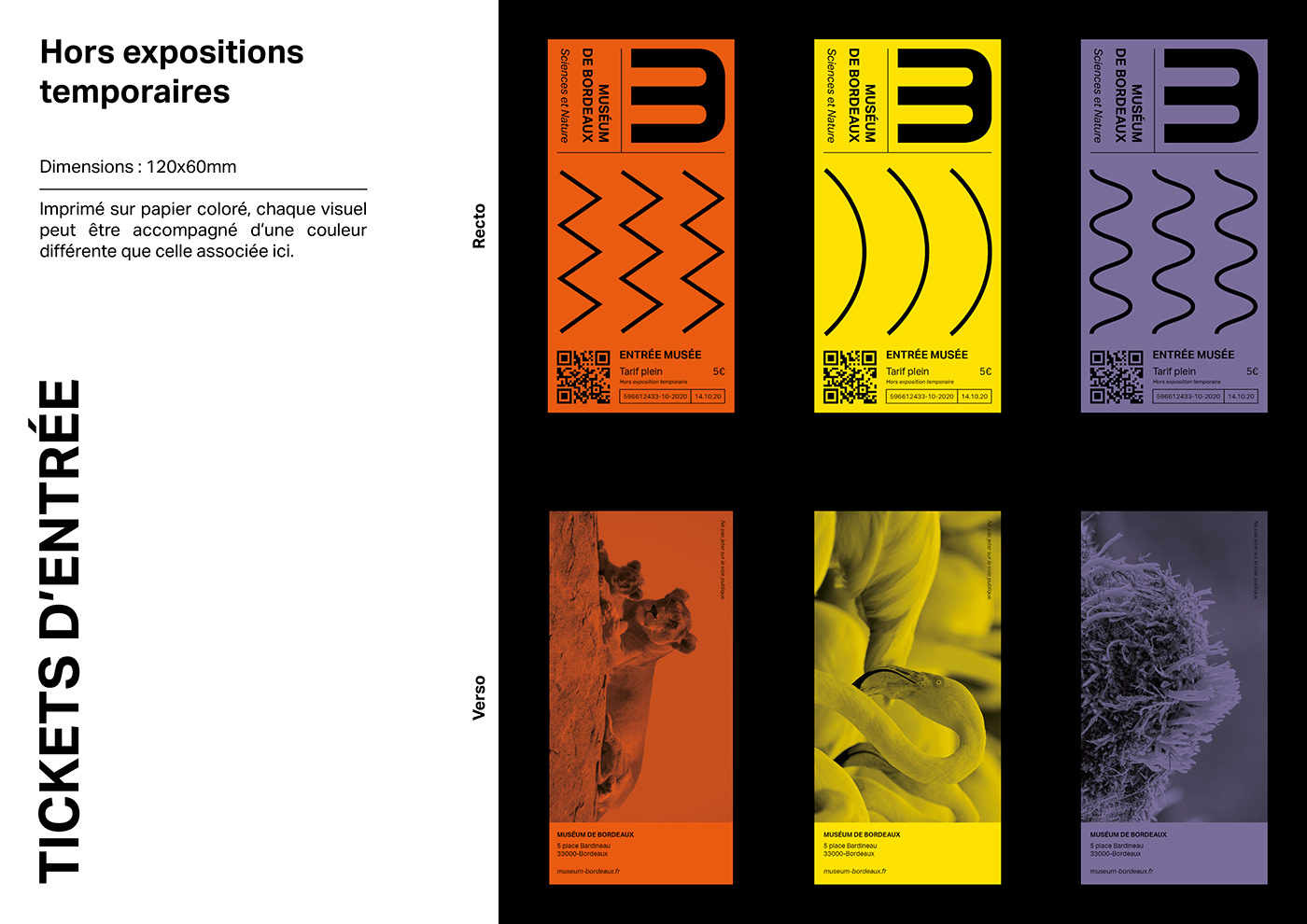 communication Design Graphic edition identité visuelle musée Packaging Webdesign