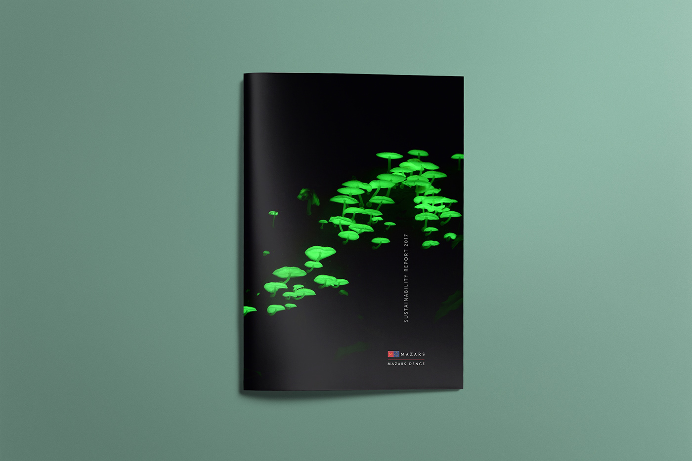 art direction  editorial design  graphic design  Layout sustainability report