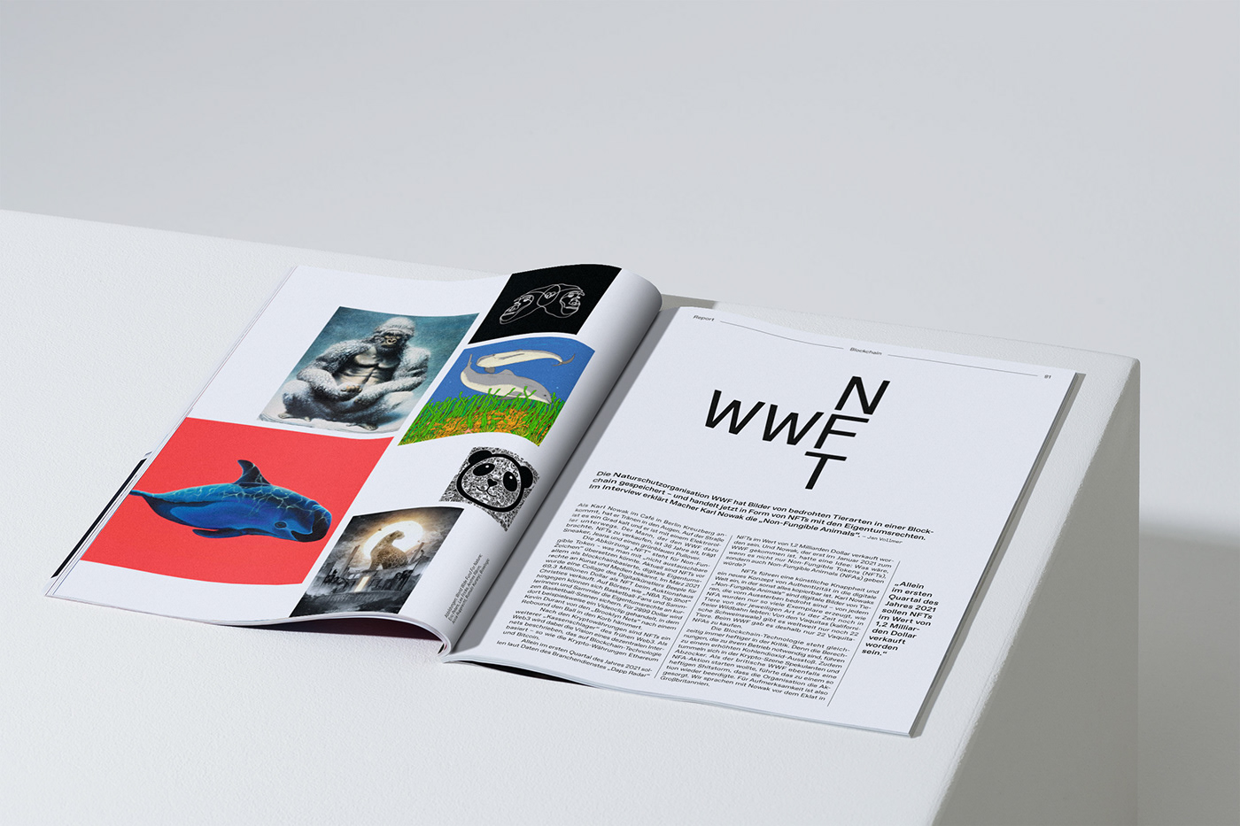 editorial design  graphic design  magazine redesign typography  