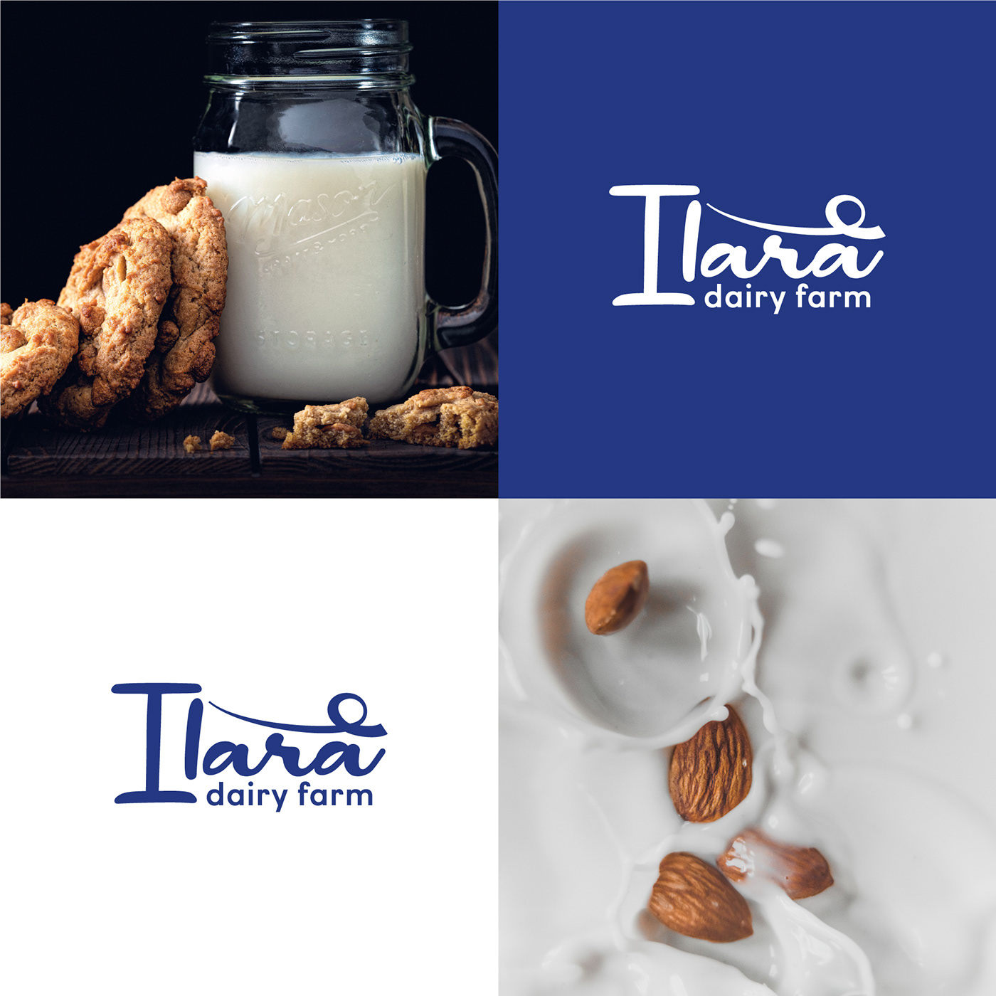 Brand Design brand identity Dairy dairy products design logo Logo Design milk Packaging visual identity