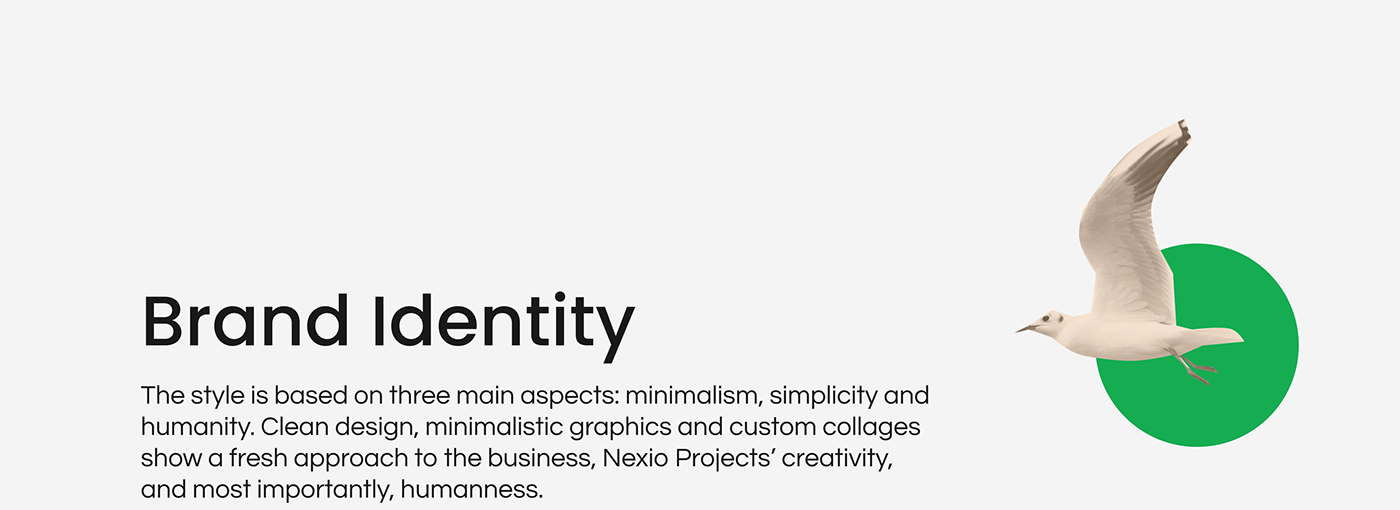 brand identity Consulting Ecology Figma green Startup Sustainability visual identity Web Design  UI