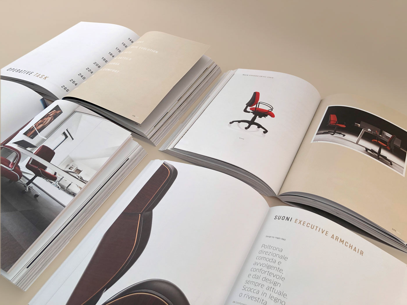 Catalogue print graphic book Photography  Layout graphic design  art direction  Creativity
