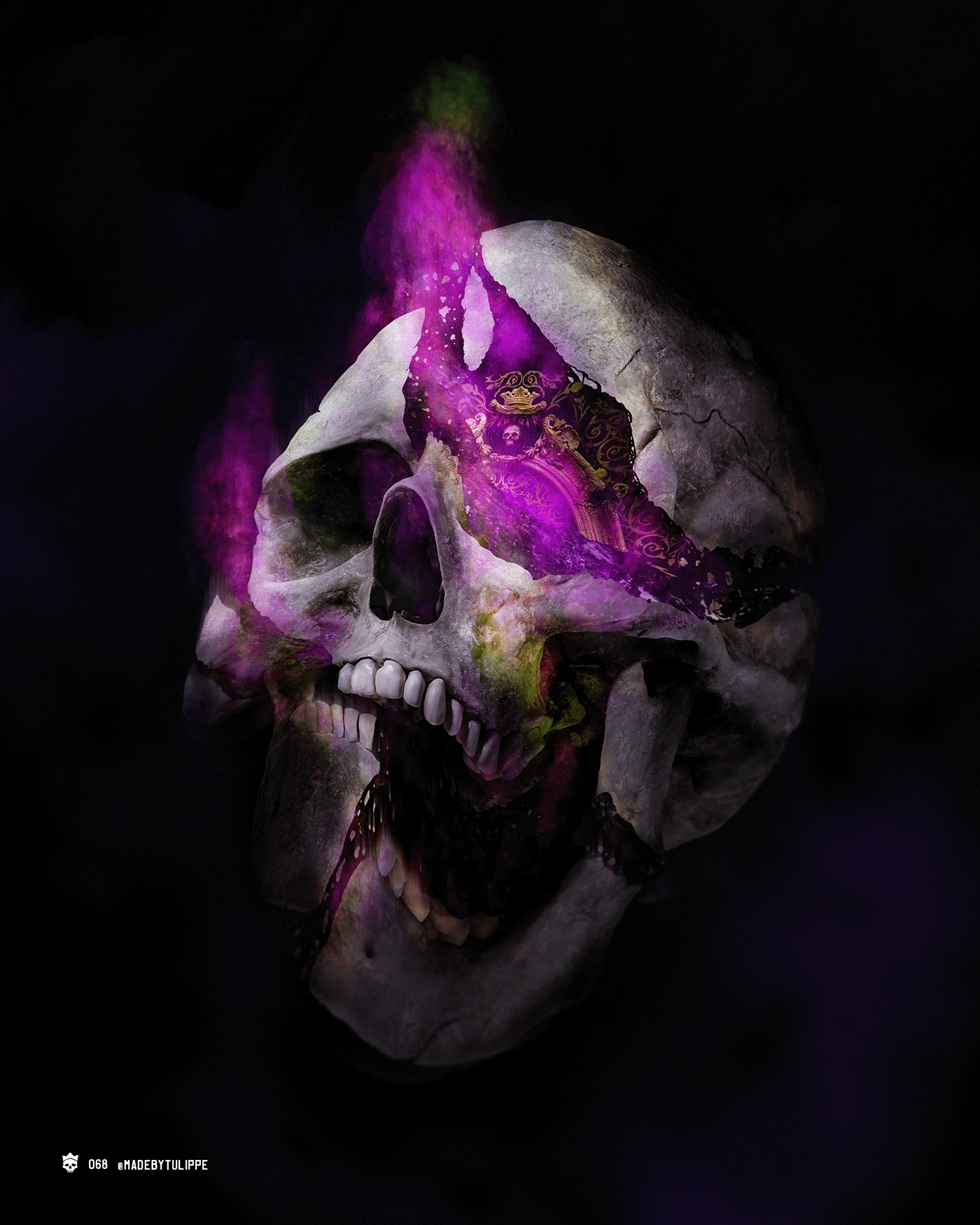 collage Cover Art Digital Art  Guilded jewels poster art skull