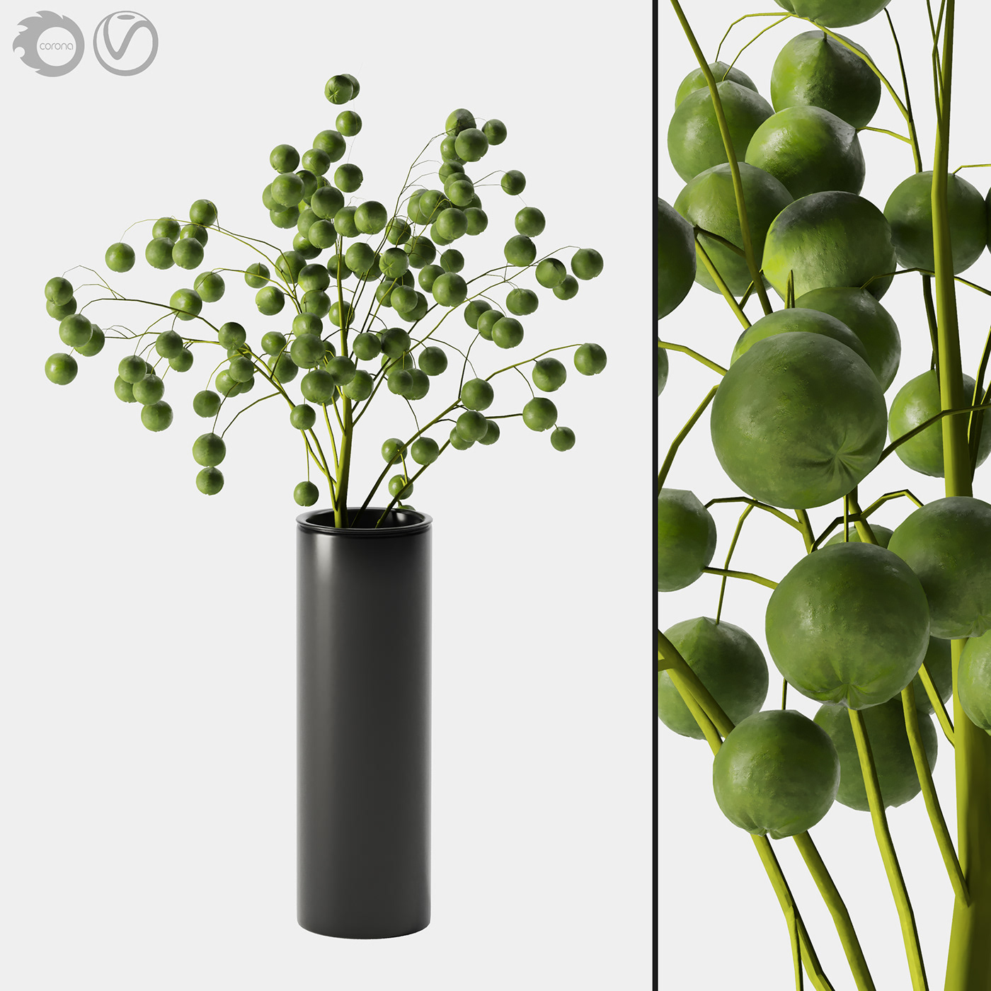 3d model | plant indoor 05