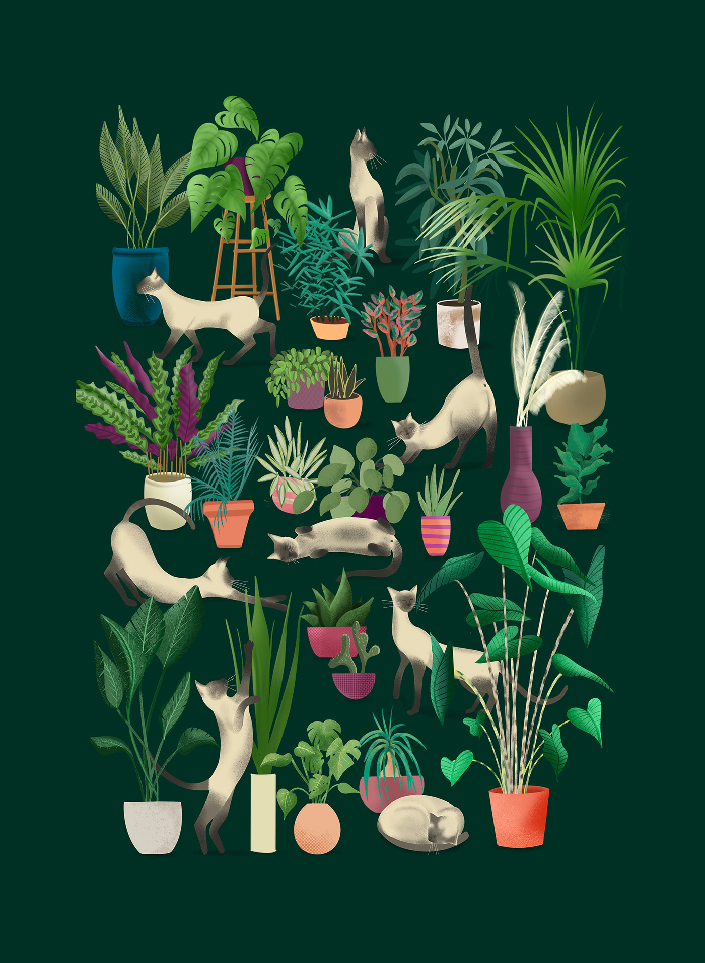 plantes pattern Digital Art  Procreate digital illustration catpattern chatsillustration plantesillustration plantesinterieurs plantpattern