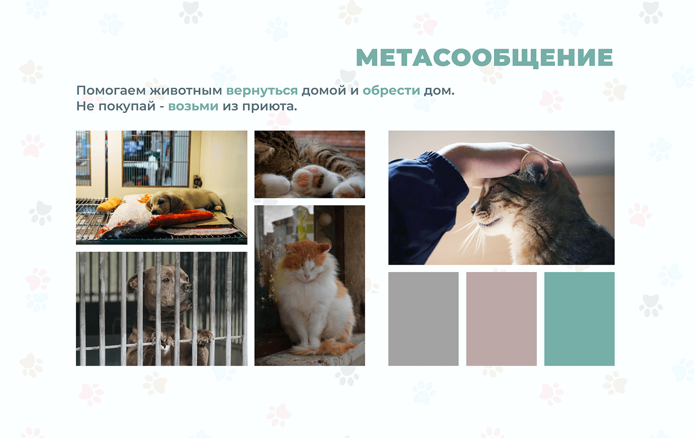 pets shelter animals charity homeless mobile design UI/UX Figma app