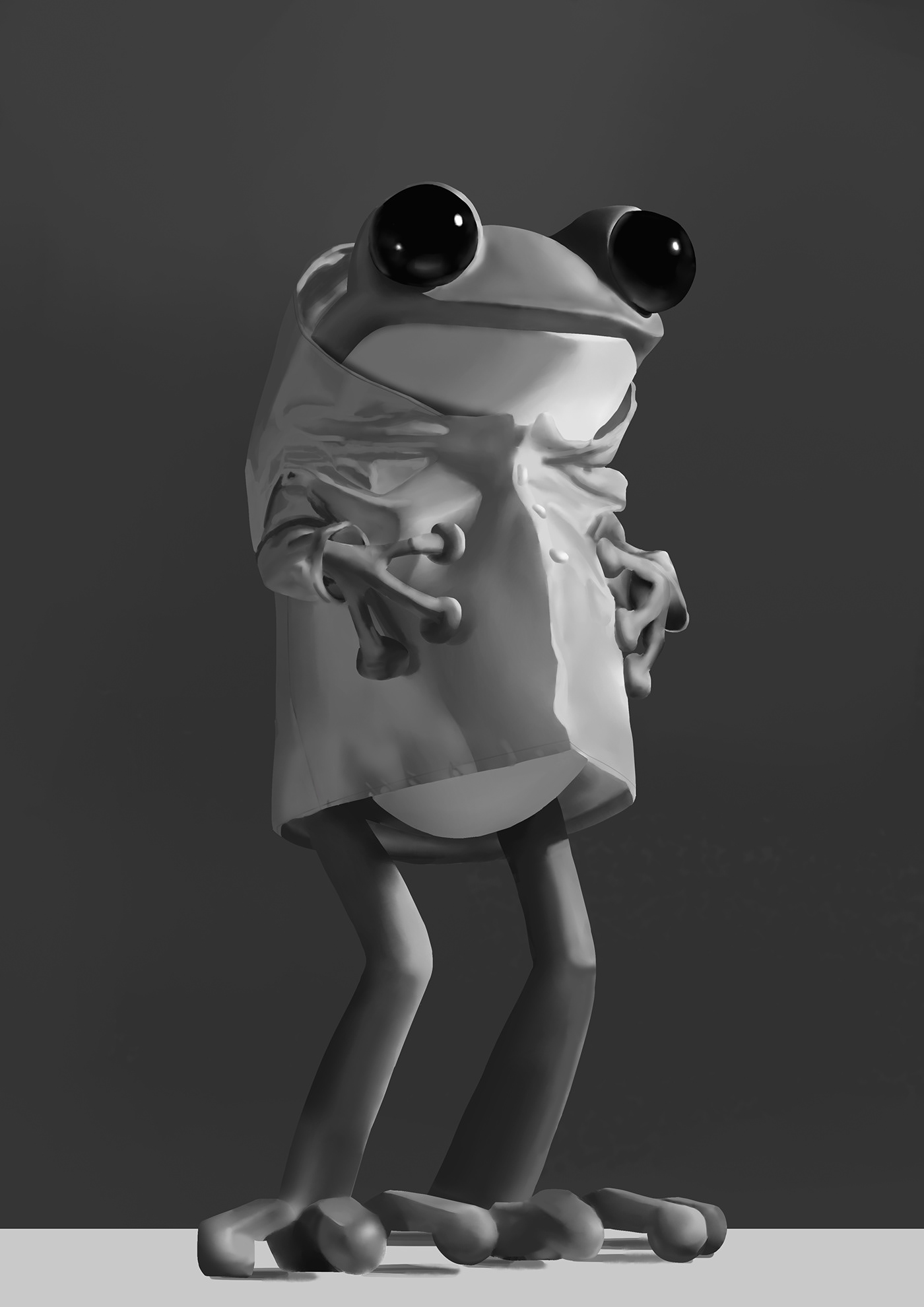 Practice frog Mascot blindbox cute blackandwhite assignment Digital Art  raincoat sem2