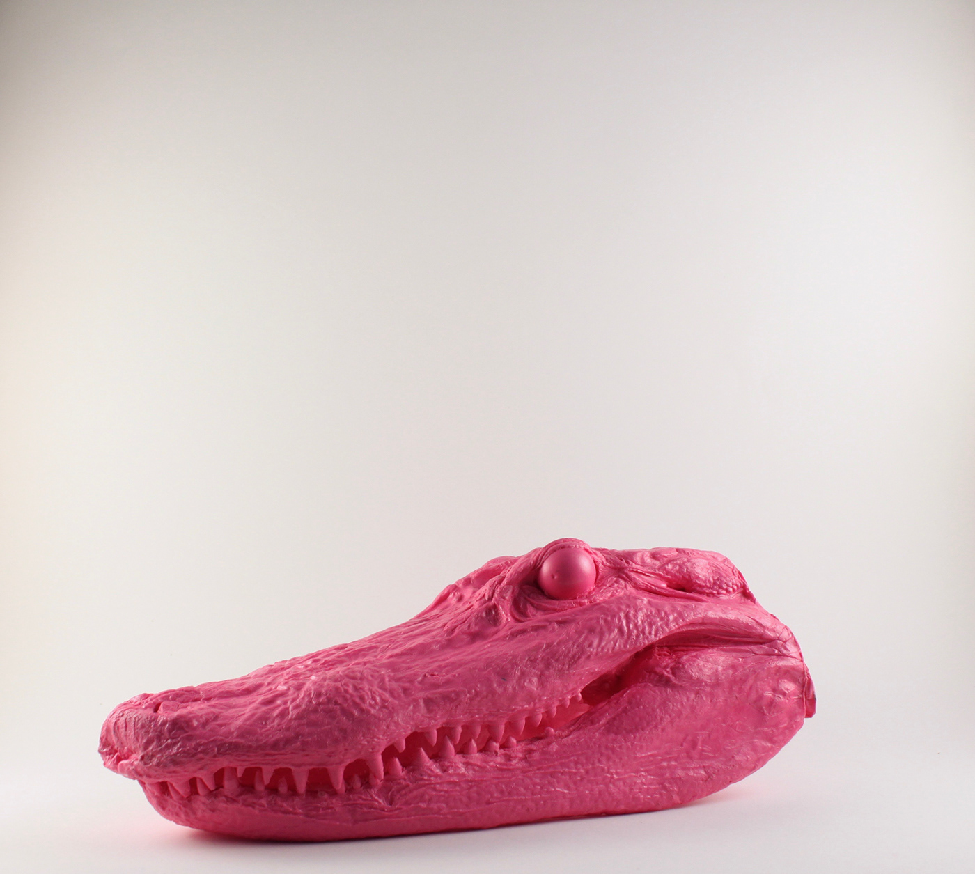 alligator Mold Making sculpture resin