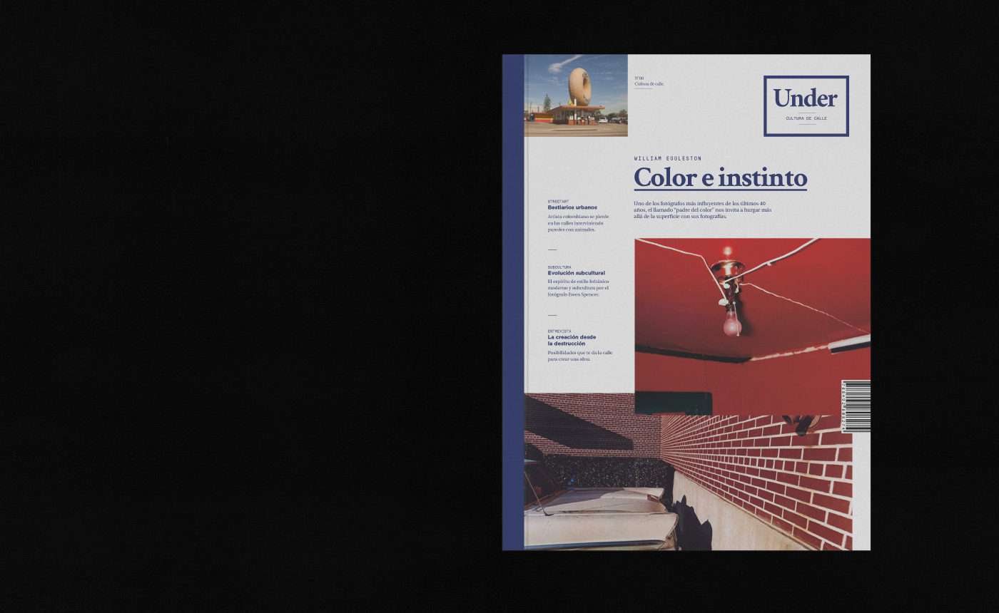 editorial magazine cosgaya fadu revista Layout type typography  