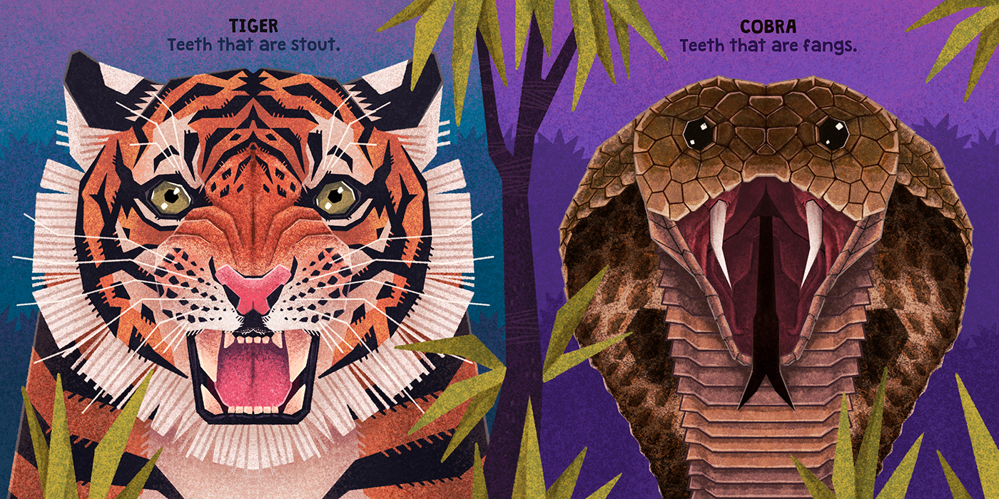 animal illustration childrens book digital illustration Picture book tiger wildlife kidlitart procreateart storybook children's book