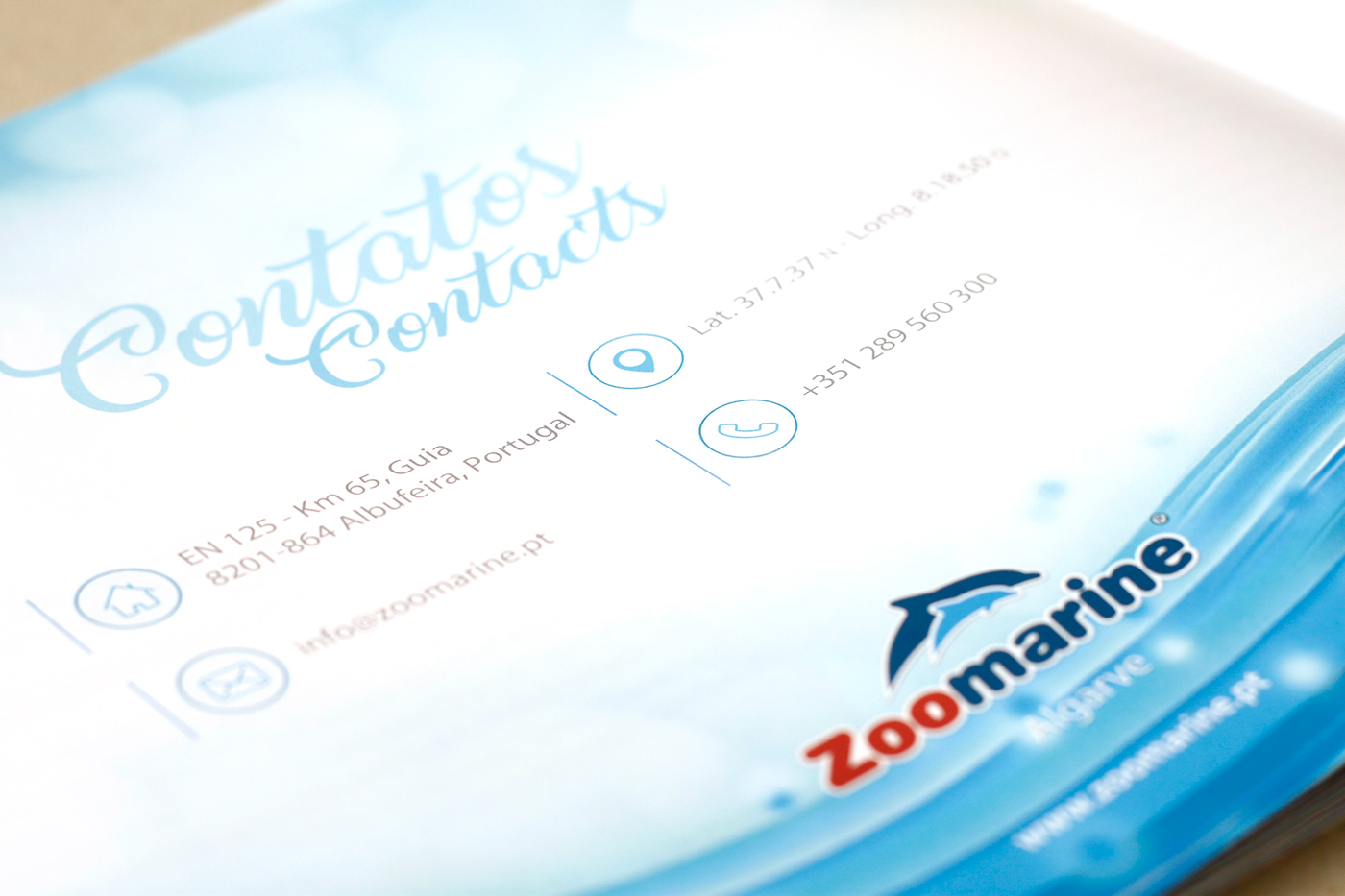 zoomarine design Dolphins anniversary water editorial graphic animal weprotect together
