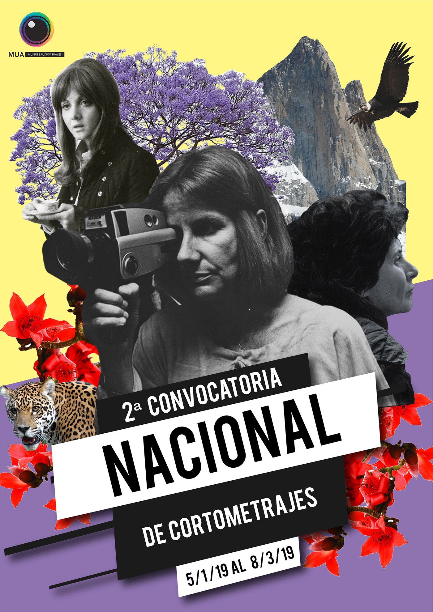argentina Cinema feminism festival Film   Fotomontaje LGBT LUCRECIAMARTEL varda women