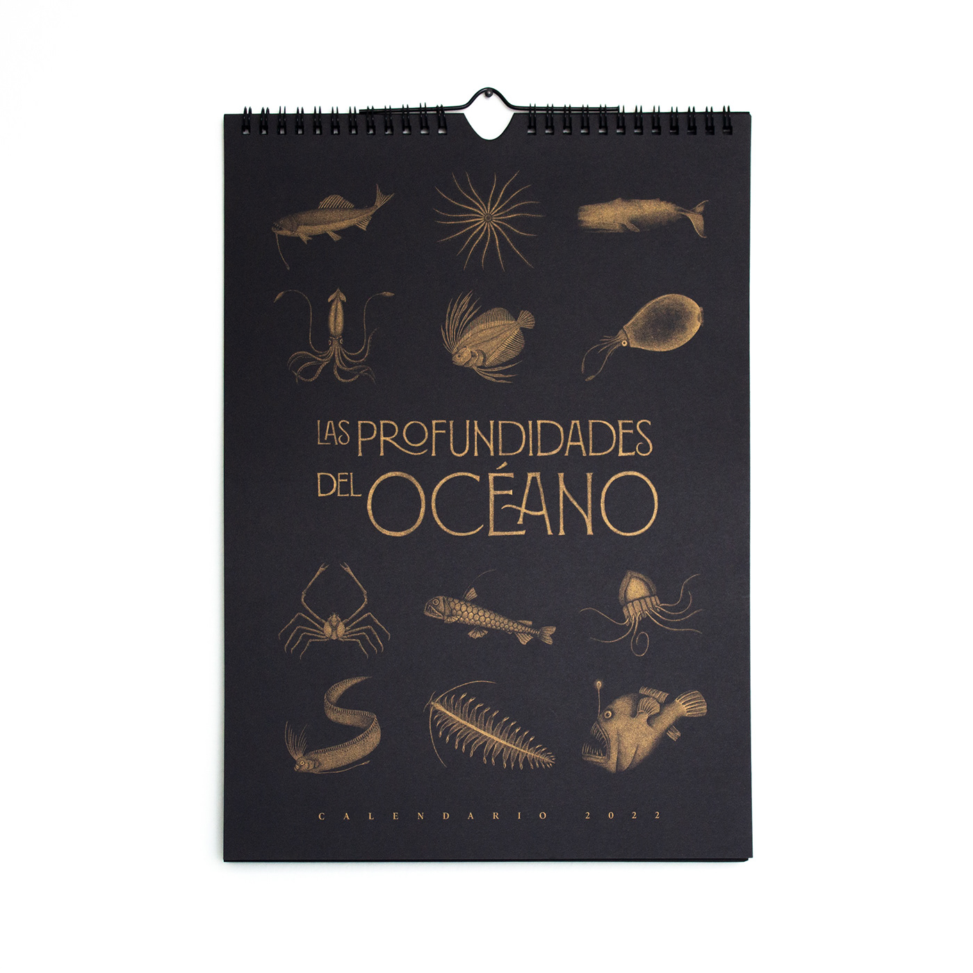 ILLUSTRATION  risograph print calendar design Ocean fish sea Drawing  artwork concept art