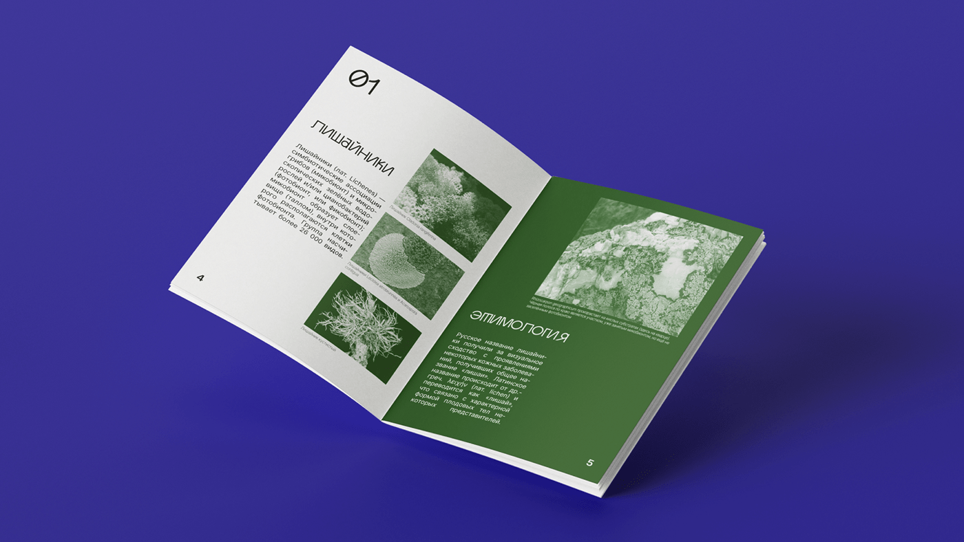 design brochure print Layout дизайн верстка botanical book design