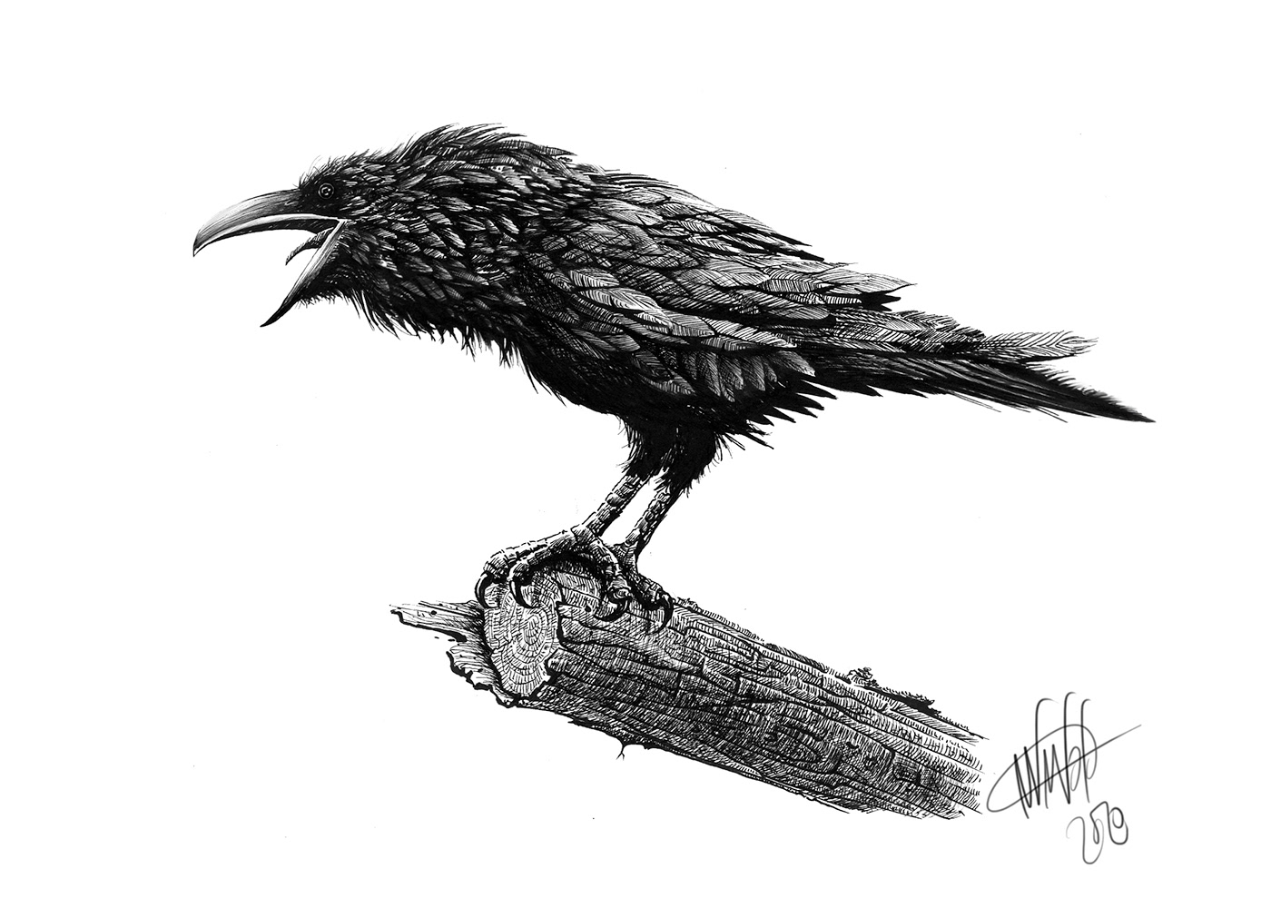 dark Drawing  Halloween horror ink raven