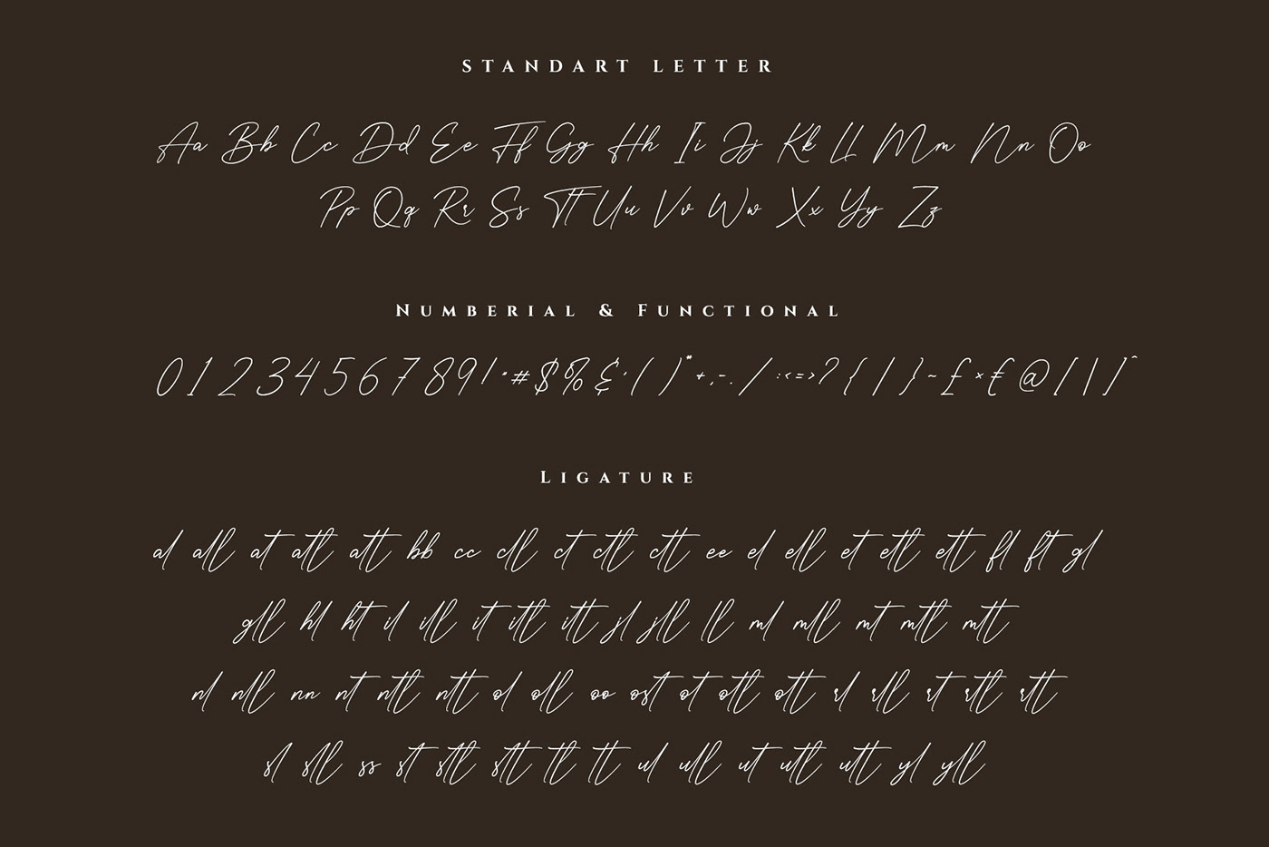brand branding  elegant font handwritten logo modern Script signature Typeface