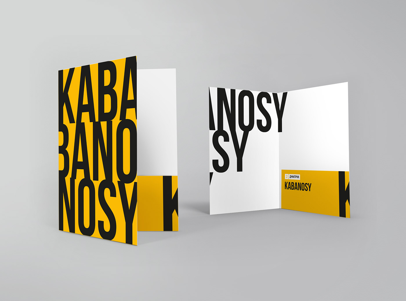 viktoriia fedyna dmytruk kabanosy Art Director graphic design  branding  Corporate Identity corporate style outdoor advertising Printing