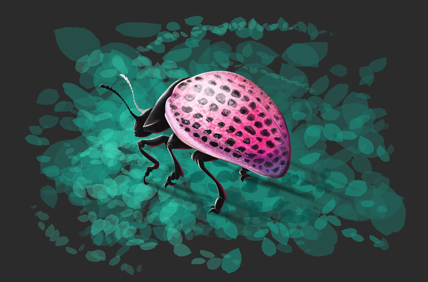 bugs beetles wonderful color variety of shapes textures of surfaces cg art ILLUSTRATION  botanic illustration жуки насекомые
