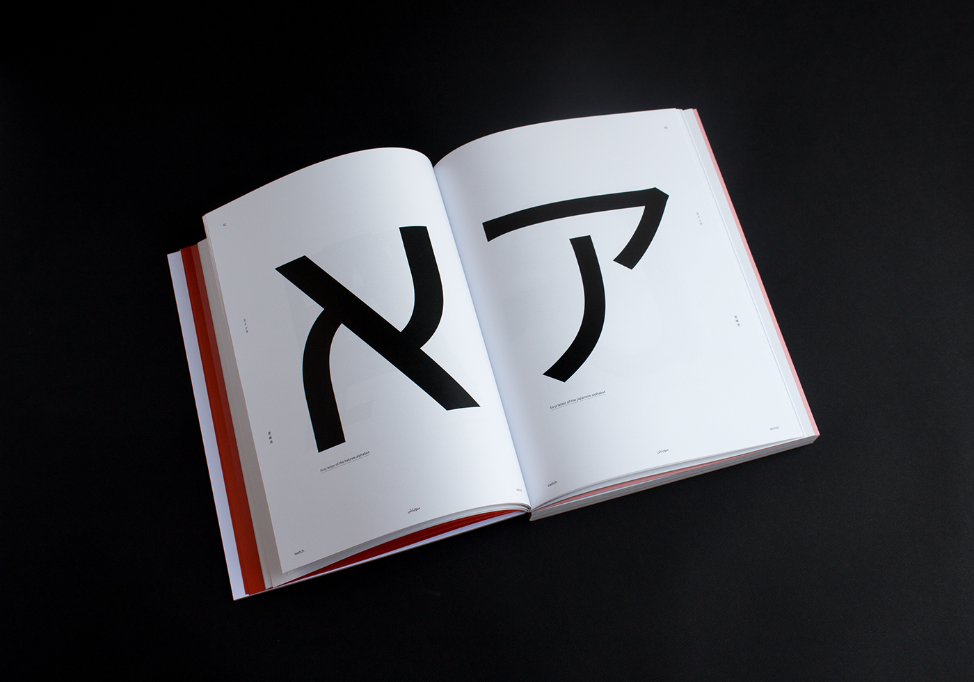 editorial art direction  book print Languages switch penninghen logos Brand Image graphic design 