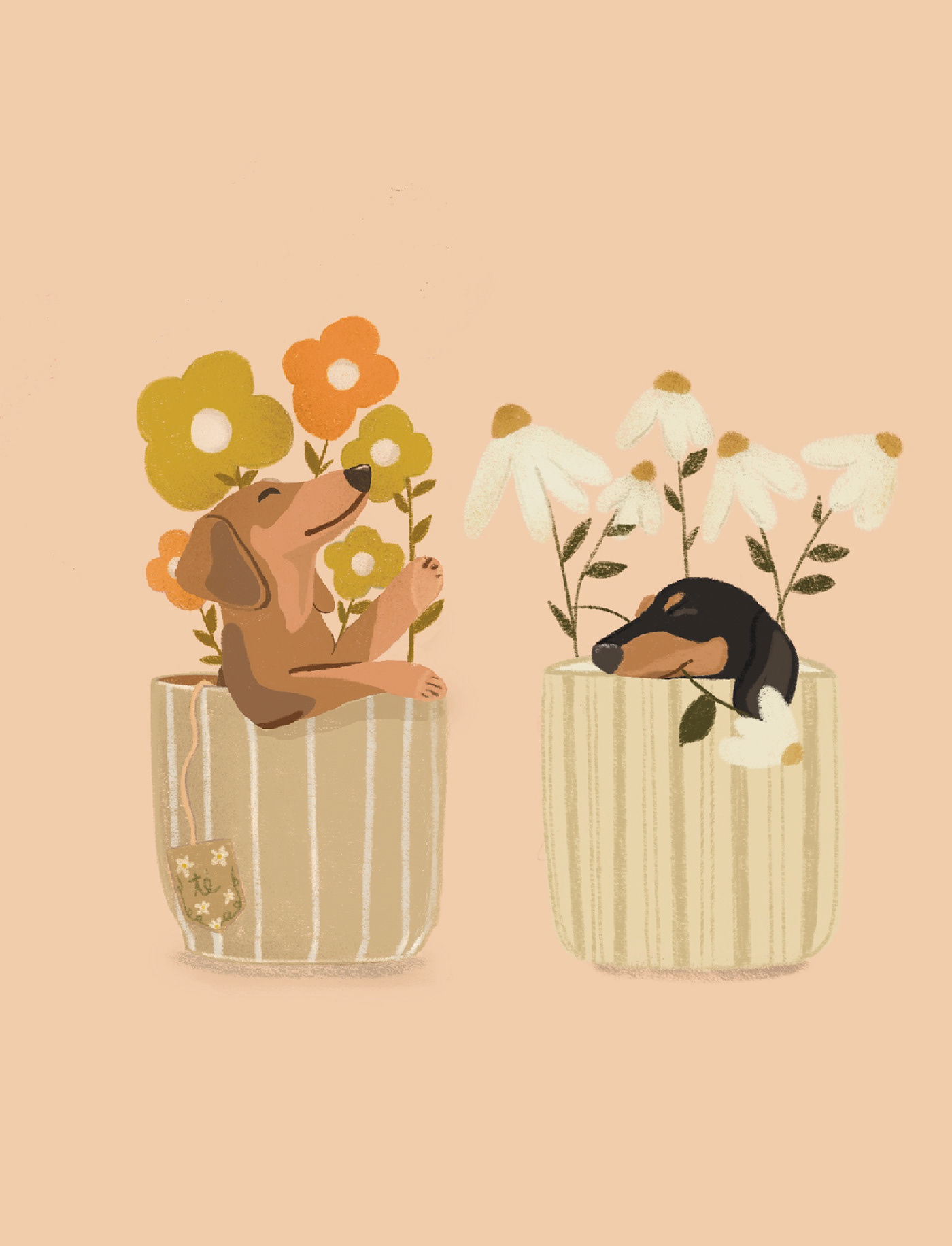 dachshund puppy flower botanical Procreate procreate illustration art doglover softpencil tea