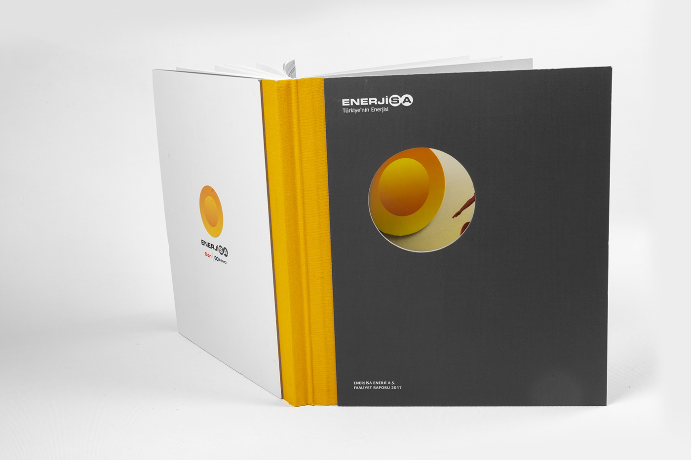 ANNUAL report editorial design brand energy cover print pantone book