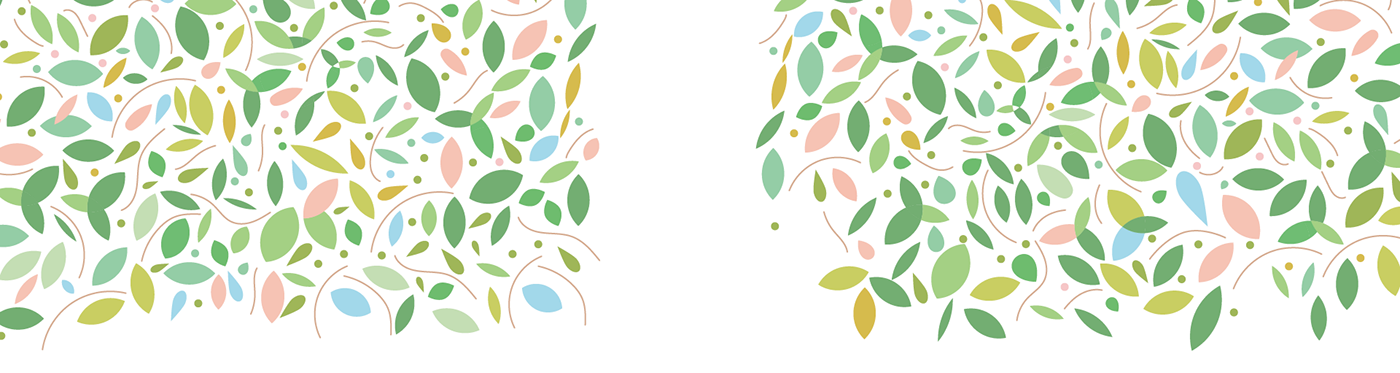 package owl bird seed Nature feather wood adobeawards #semis
