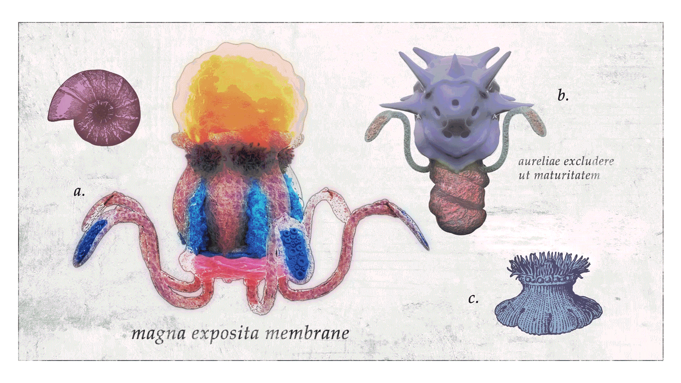 creepy 3d modeling Digital Art  creatures scientific illustration field journal fantasty Imagine speed render weird