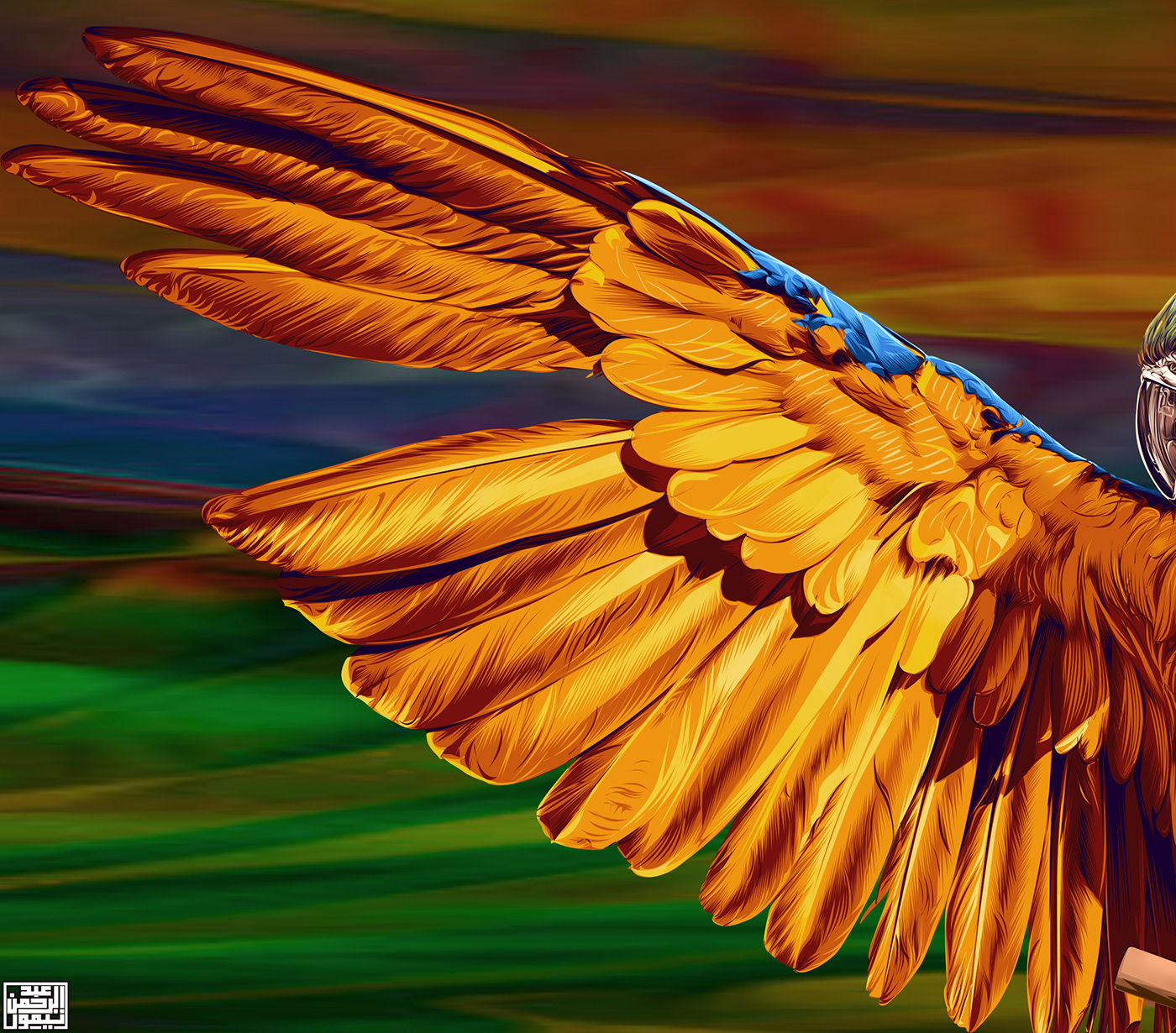 abdelrahman taymour bird bird drawing colorful Digital Art  ILLUSTRATION  jungle parrot vector art عبدالرحمن تيمور