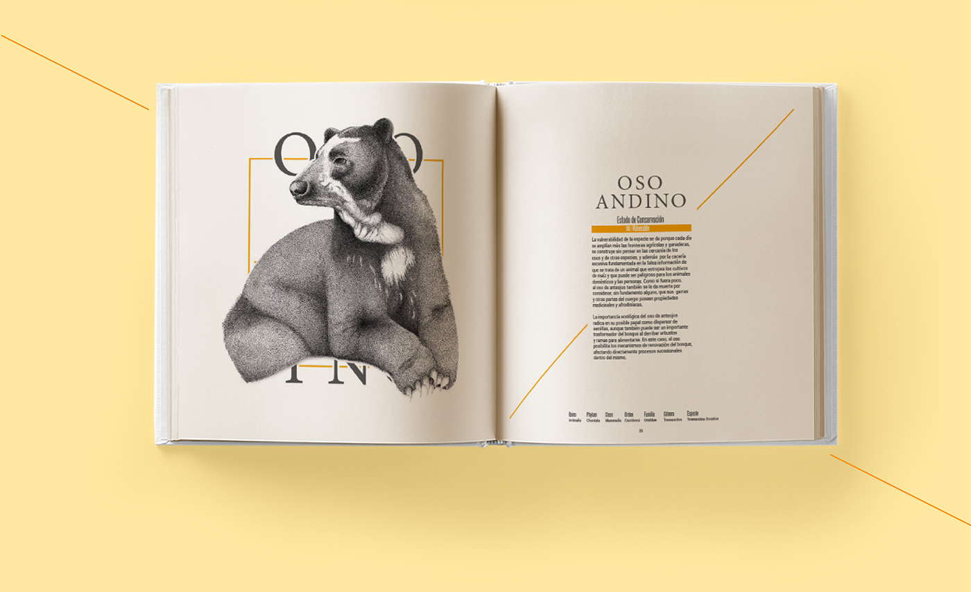 catalogo ilustracion animales animals animals illustration book design editorial ILLUSTRATION  Nature