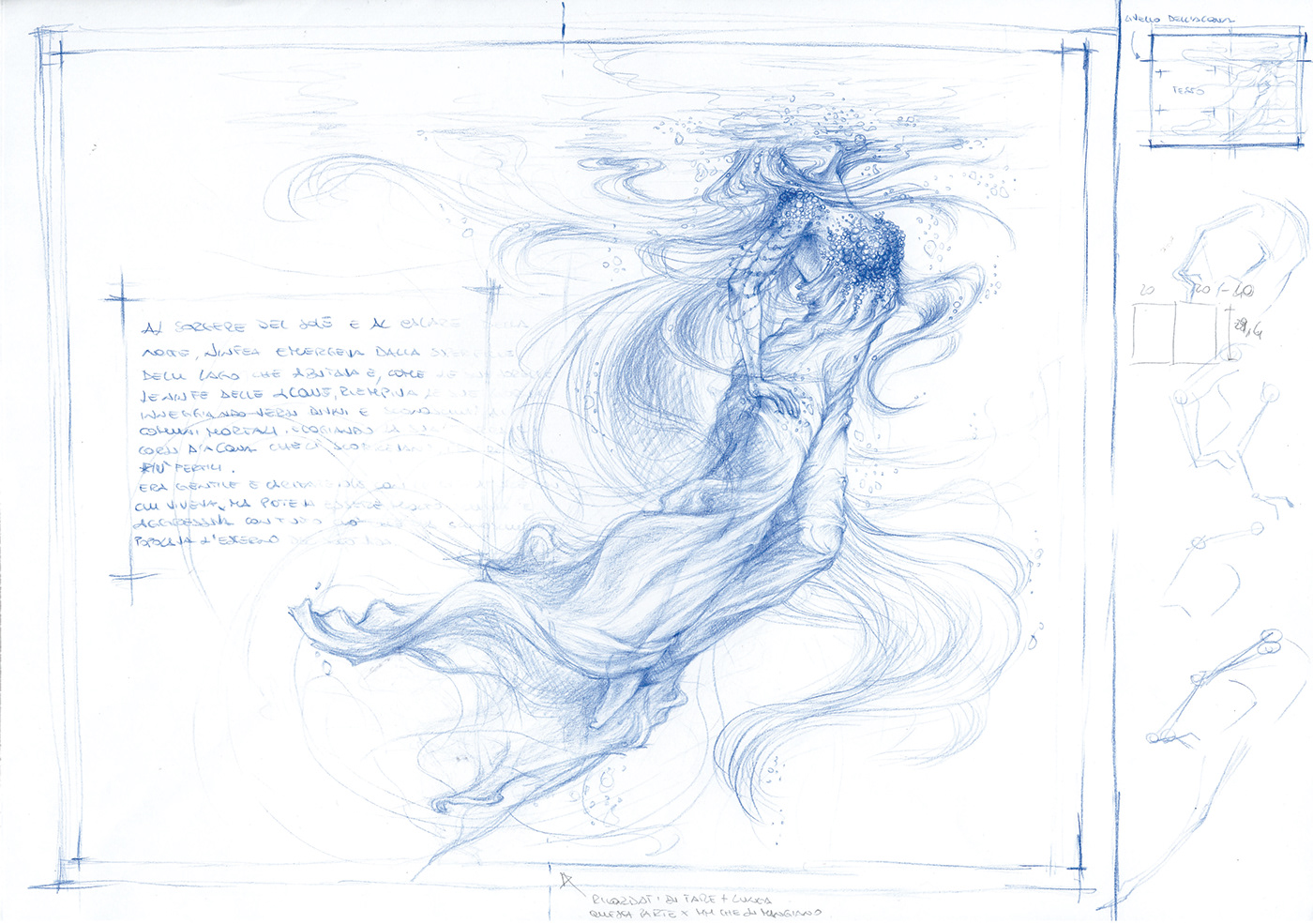 sketch ILLUSTRATION  fantasy blue pastel legend nymph waterlily