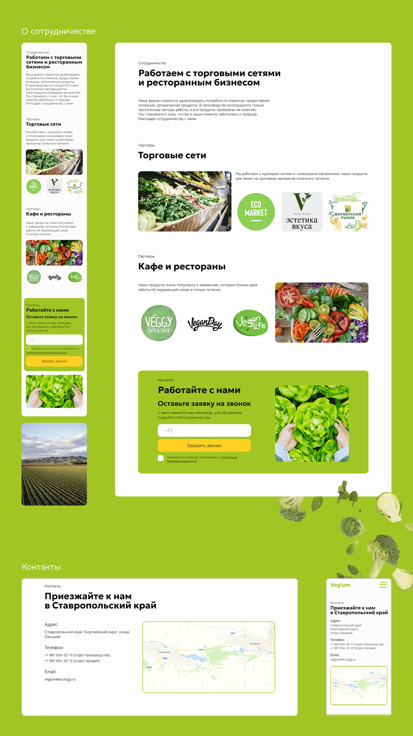 Web Design  Website Website Design eco green eco farm vegetables organic natural