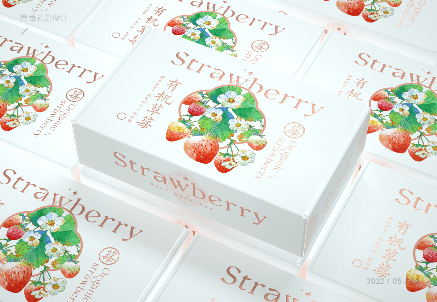 Food  Fruit fruit packaging graphic ILLUSTRATION  Packaging packaging design product design  product designer strawberry