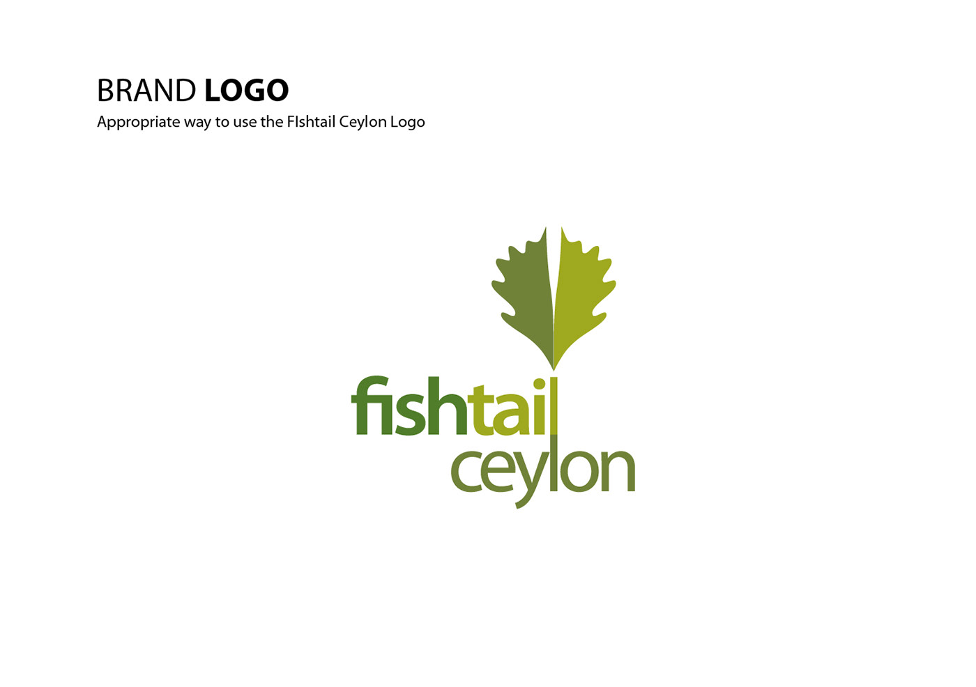 branding  Logo Design designer brand identity Advertising  visual identity adobe illustrator Graphic Designer Brand Design
