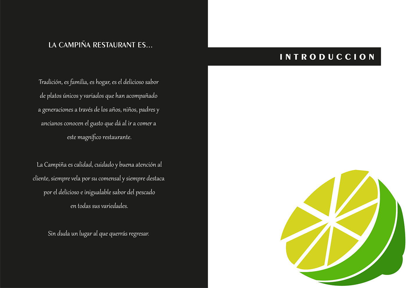 Manual de Marca Logo Design logo visual identity brand design adobe illustrator Brand Design