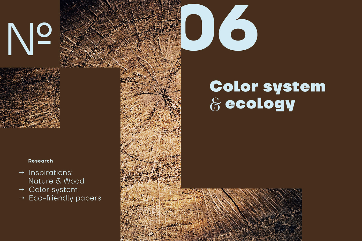 color system Identity System logo science wood Xylopolis Dubai Expo Nature Tree  Ecology