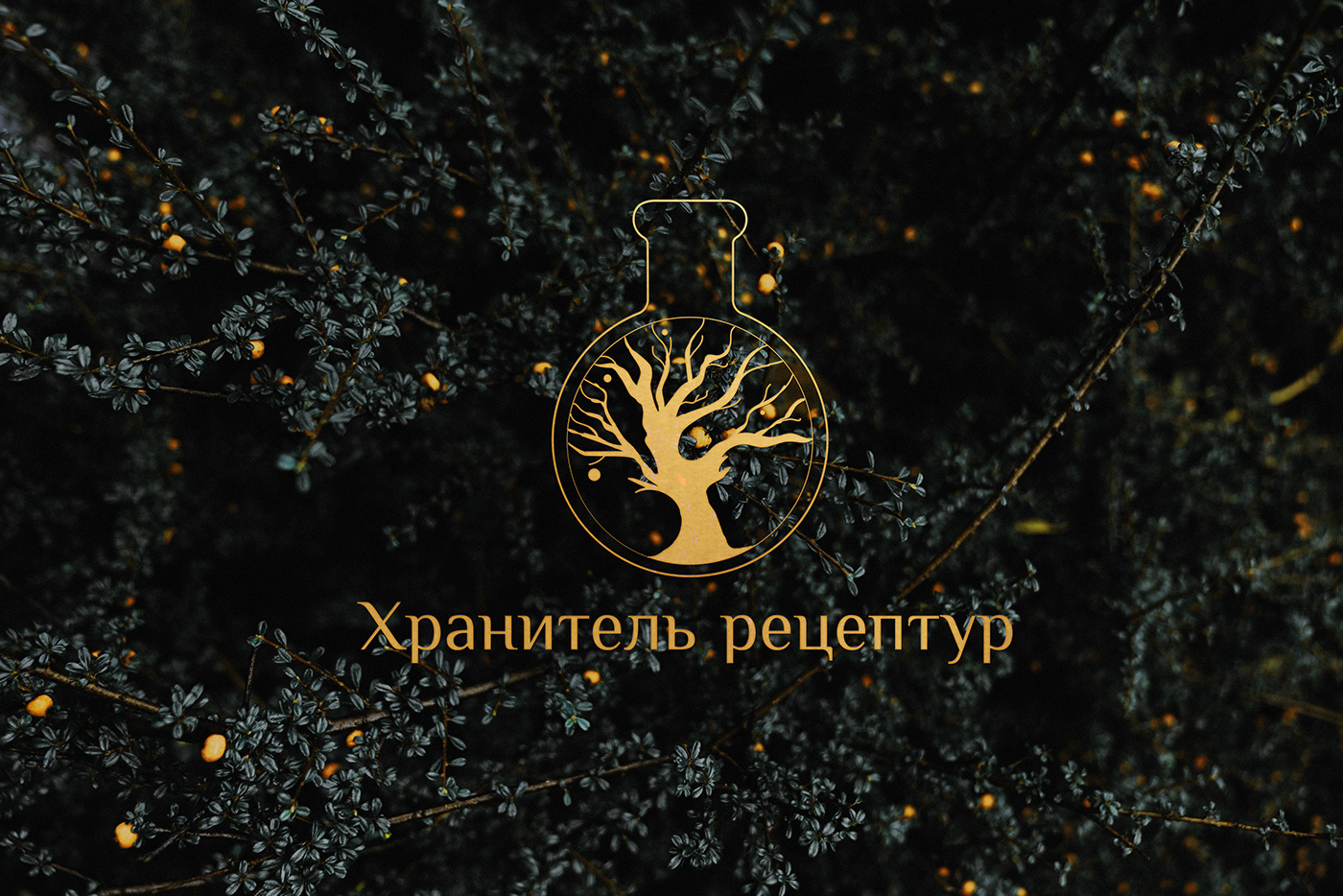 branding  Culinary design graphik identity logo menu restaraunt russian Сooking