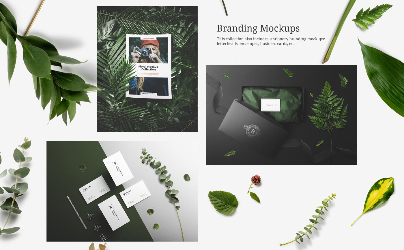 branding  Mockup floral template photoshop freebie psd Plant Stationery Flowers