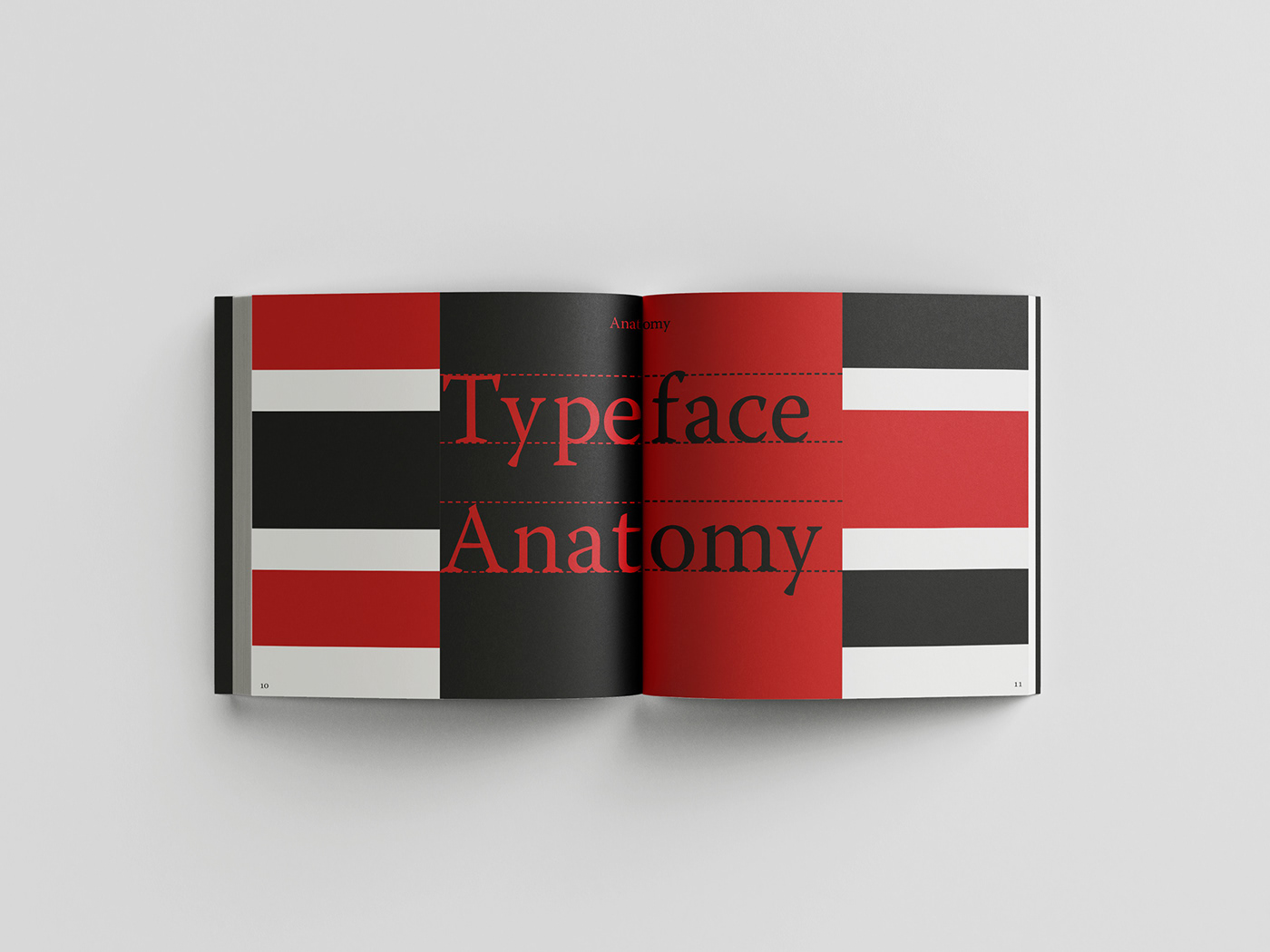text typography   Graphic Designer
