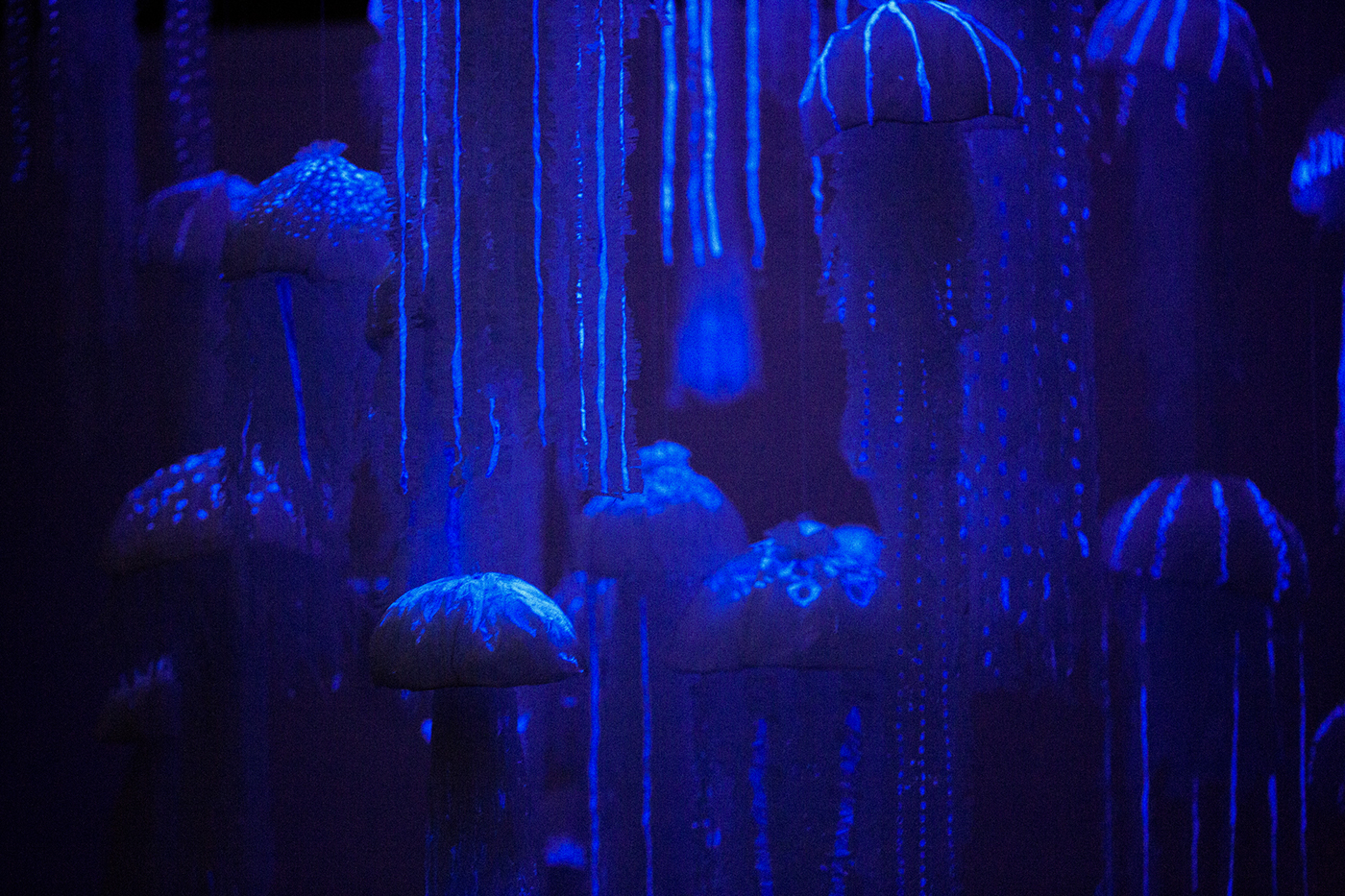 cinnamon colomboscope art installation mixed media plastic bags jellyfish save the seas colombo Sri lanka UV Art