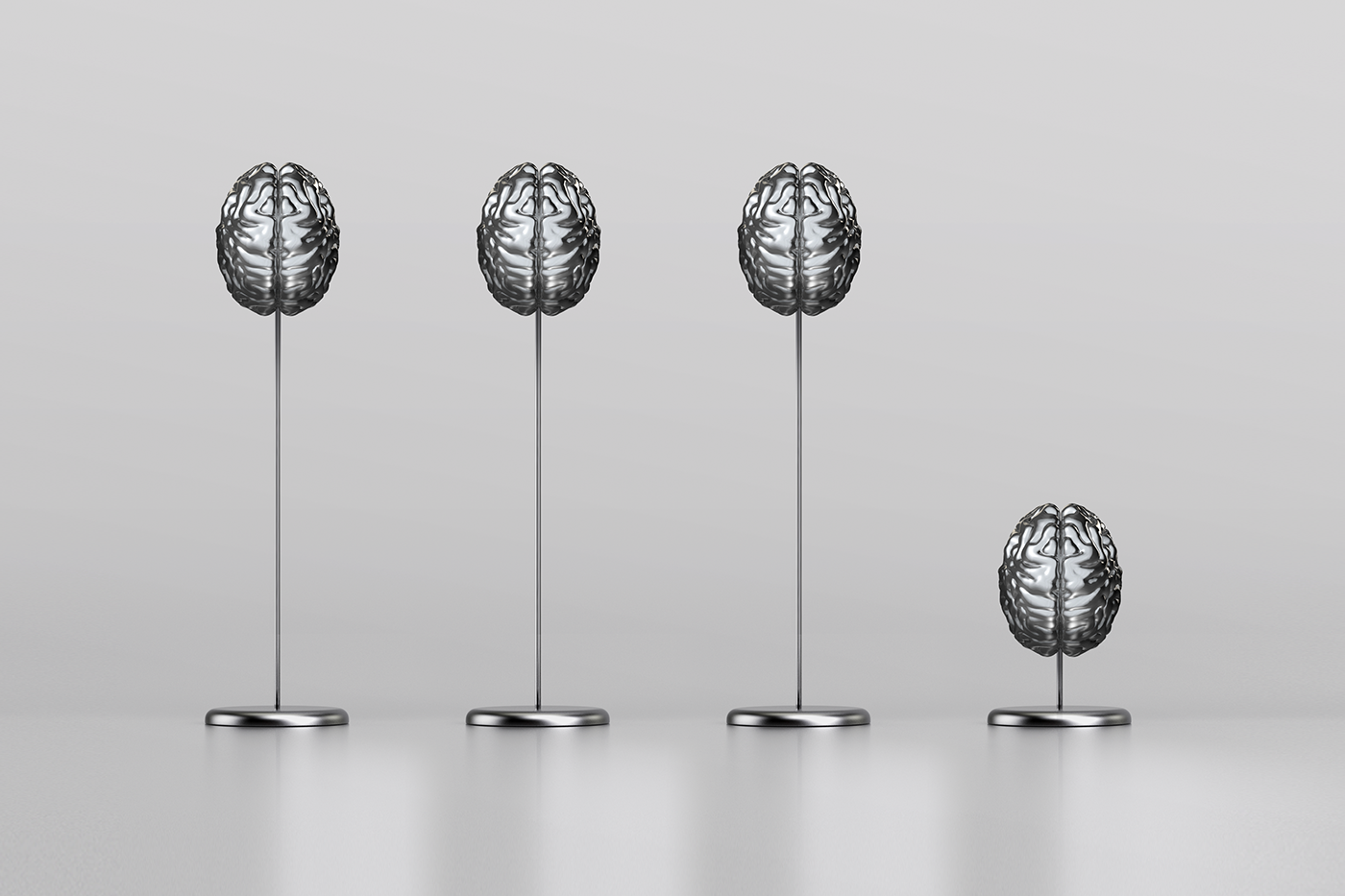 dania  mat cast iron brain btb rebranding brochure Website sculpture