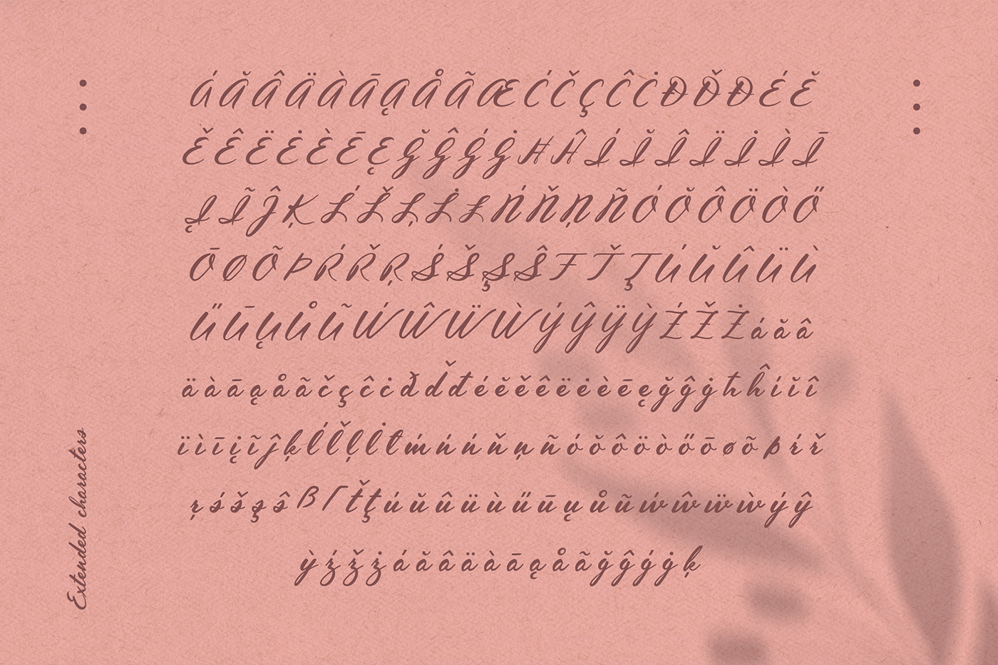 design floral flower font handlettered handwritten lettering Script type typography  