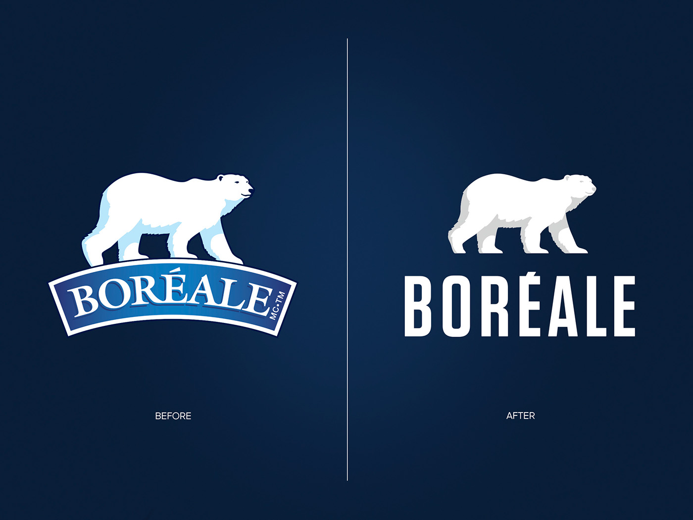 branding  beer Packaging Boréale bear polar ale brewery winter snow