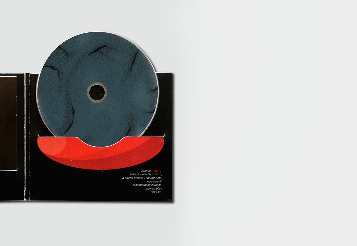 cover Album cd ILLUSTRATION  design Booklet LP music branding  art